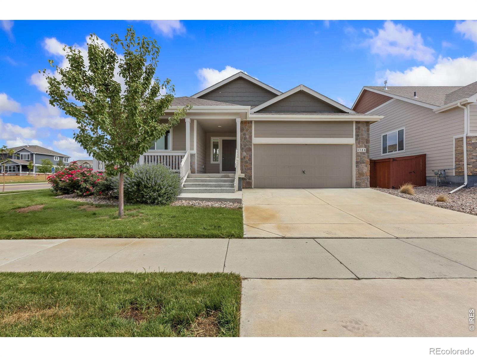 MLS Image #44 for 1723  thrive drive,windsor, Colorado