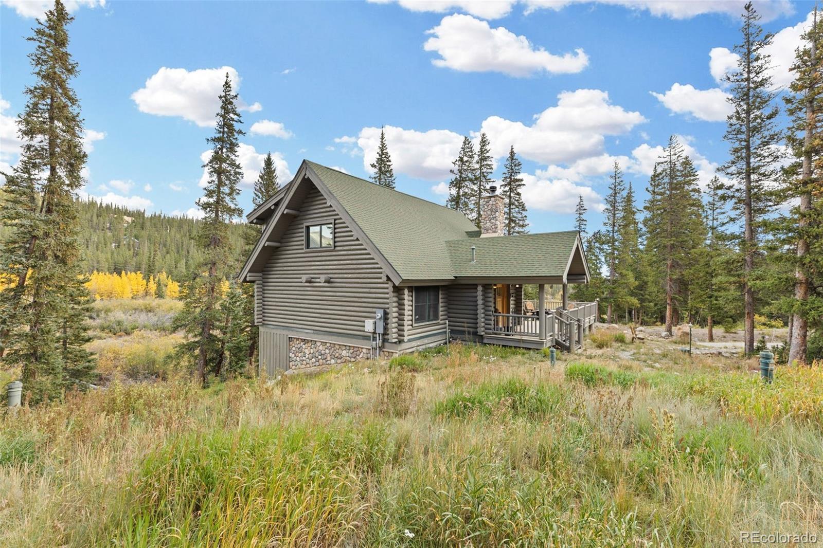 MLS Image #1 for 925  gold pan lane,fairplay, Colorado