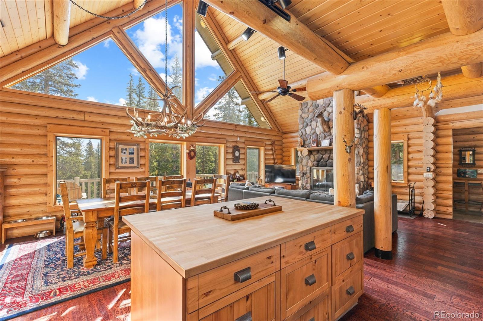 MLS Image #13 for 925  gold pan lane,fairplay, Colorado