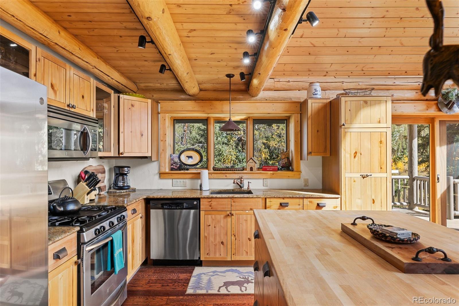 MLS Image #17 for 925  gold pan lane,fairplay, Colorado