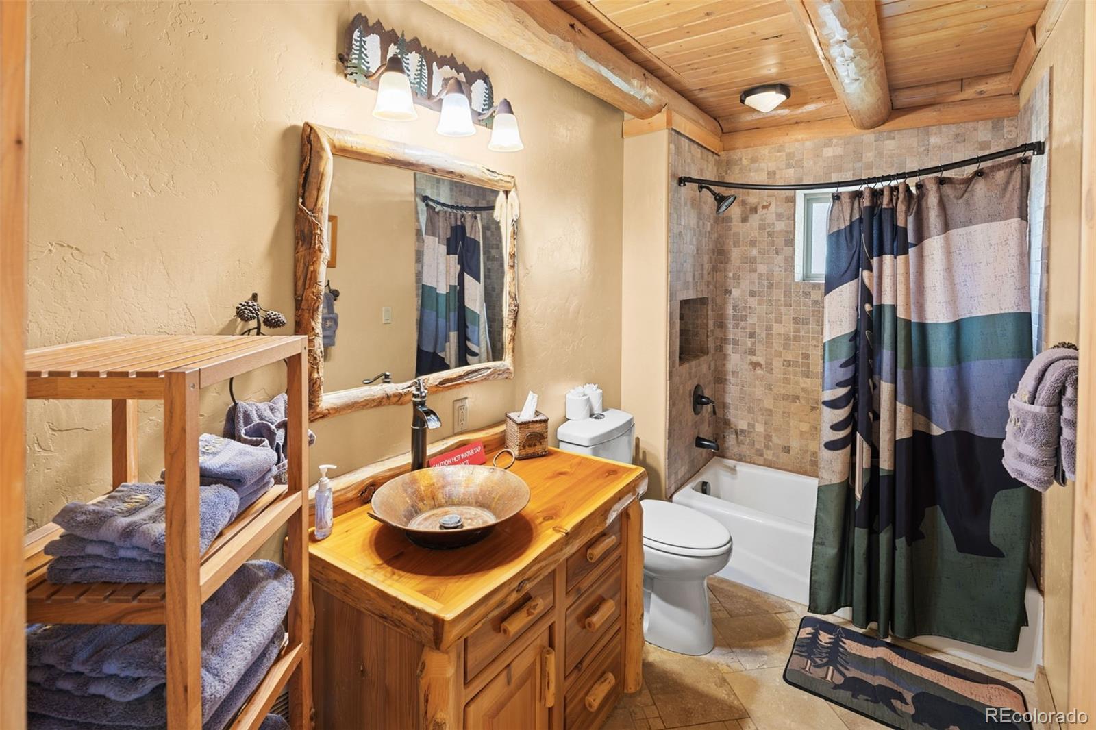MLS Image #19 for 925  gold pan lane,fairplay, Colorado