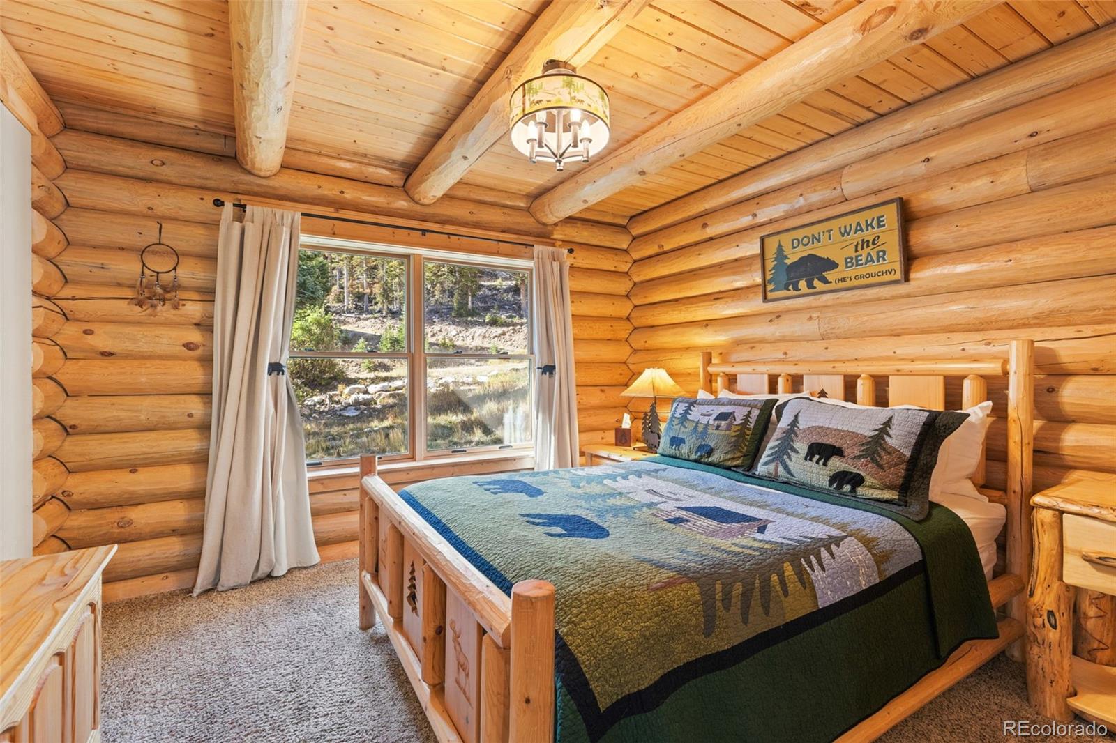 MLS Image #20 for 925  gold pan lane,fairplay, Colorado