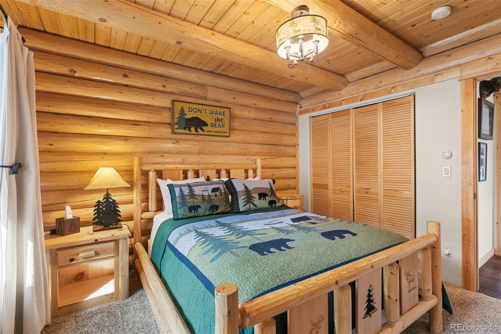 MLS Image #21 for 925  gold pan lane,fairplay, Colorado