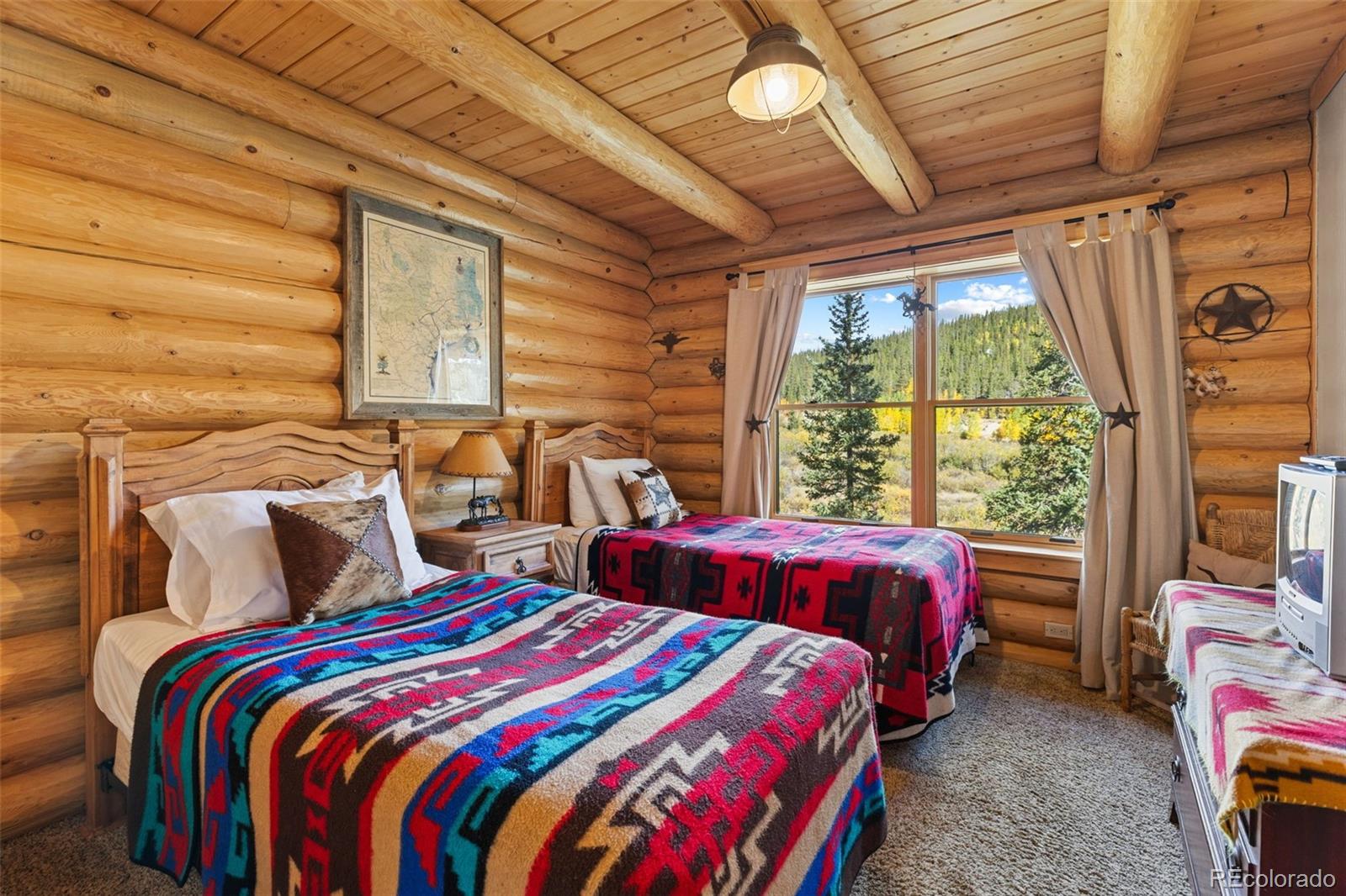 MLS Image #22 for 925  gold pan lane,fairplay, Colorado