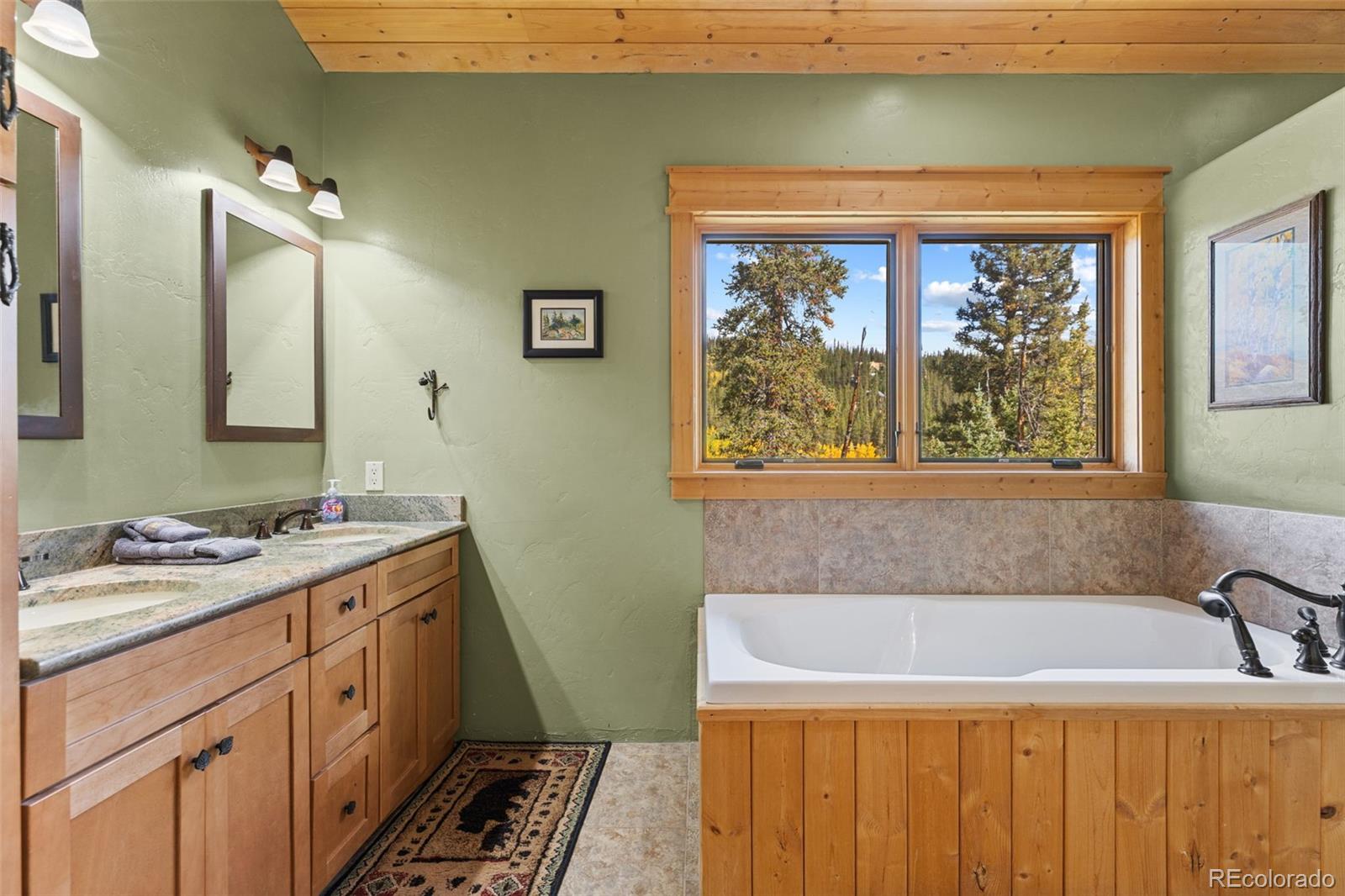 MLS Image #29 for 925  gold pan lane,fairplay, Colorado