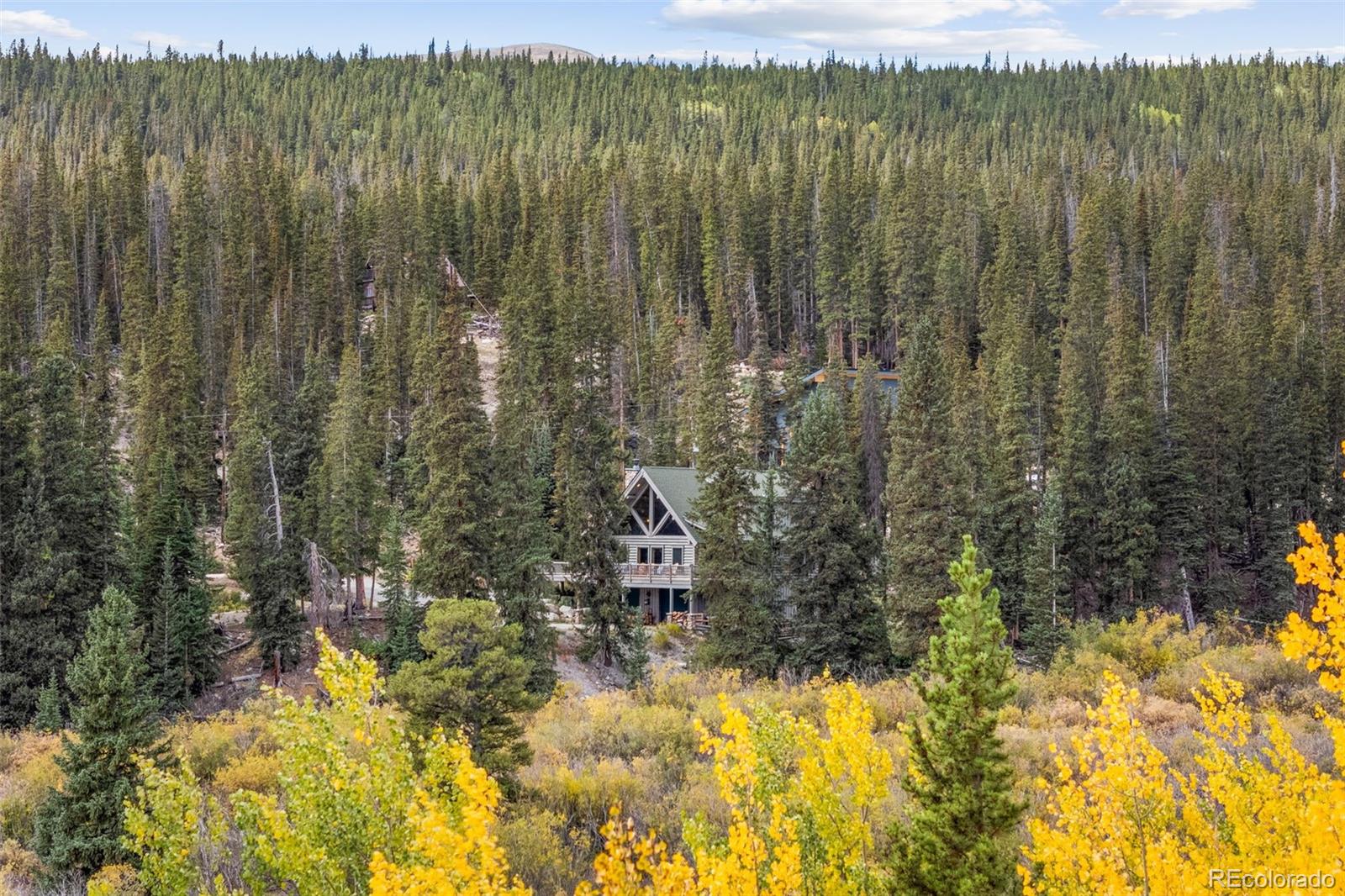 MLS Image #3 for 925  gold pan lane,fairplay, Colorado