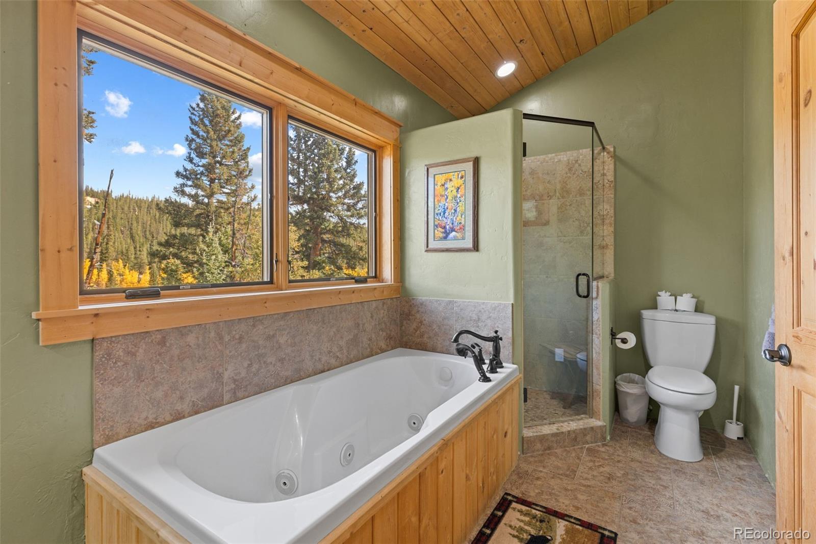 MLS Image #30 for 925  gold pan lane,fairplay, Colorado