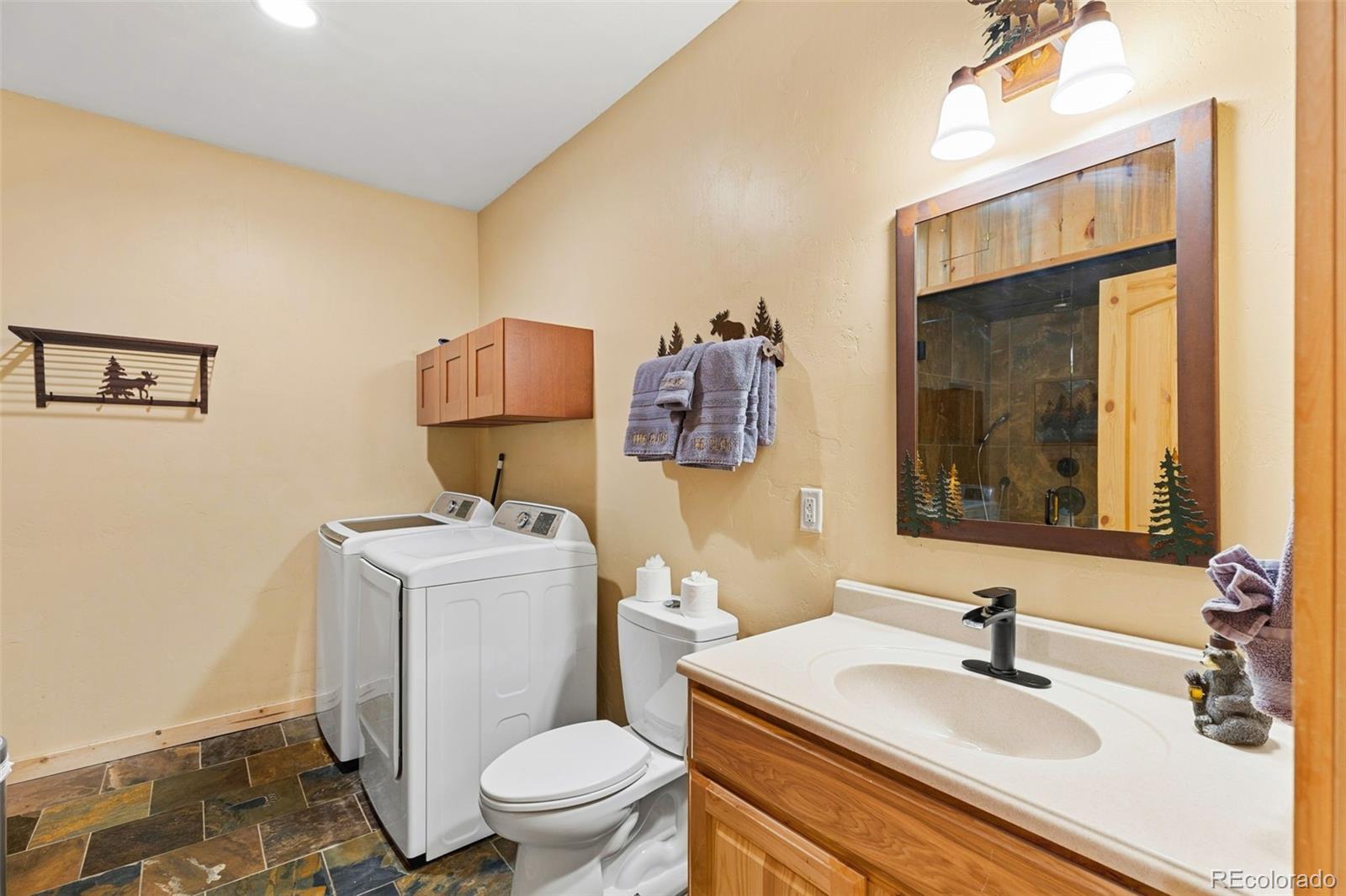MLS Image #35 for 925  gold pan lane,fairplay, Colorado