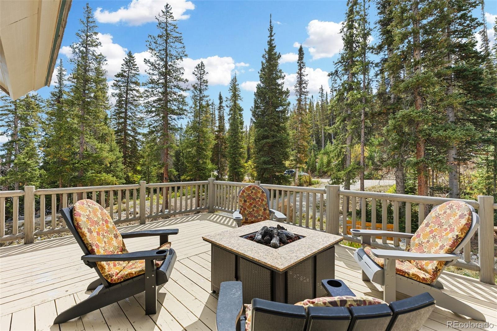 MLS Image #37 for 925  gold pan lane,fairplay, Colorado