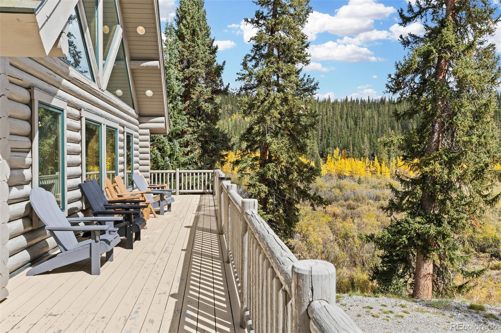 MLS Image #38 for 925  gold pan lane,fairplay, Colorado