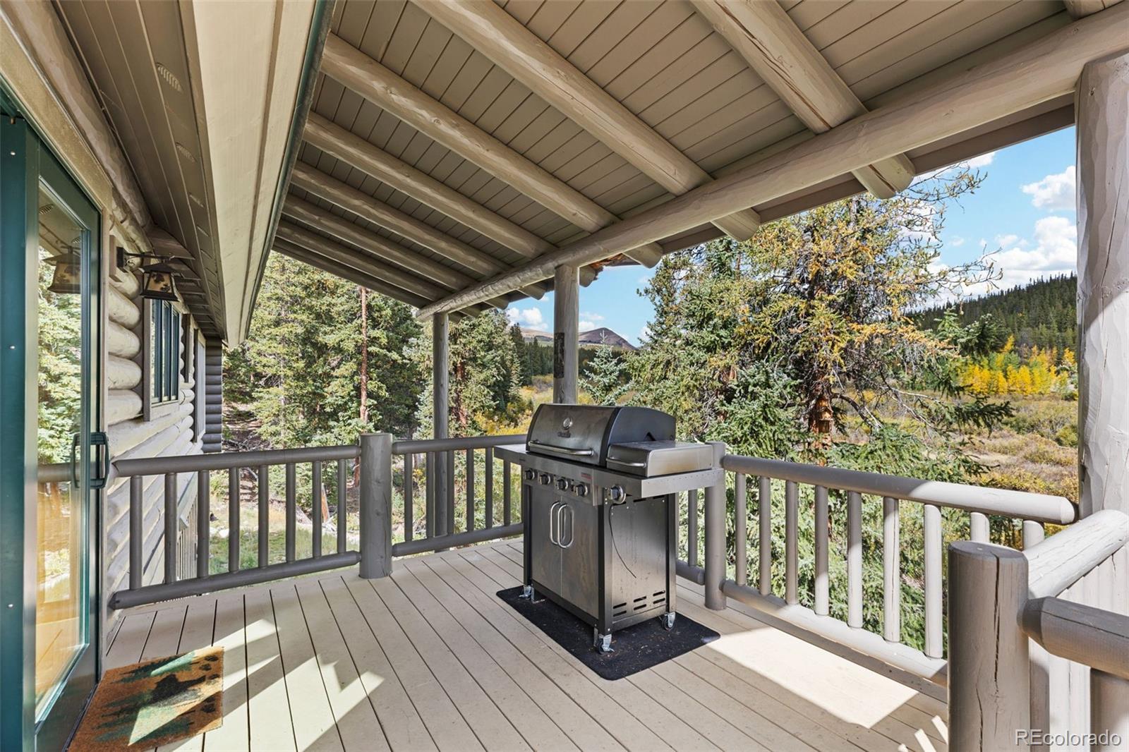 MLS Image #39 for 925  gold pan lane,fairplay, Colorado
