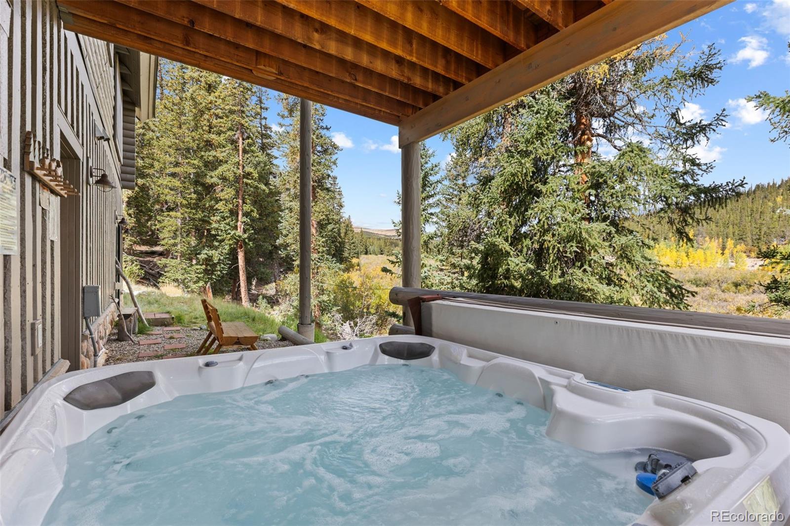 MLS Image #40 for 925  gold pan lane,fairplay, Colorado