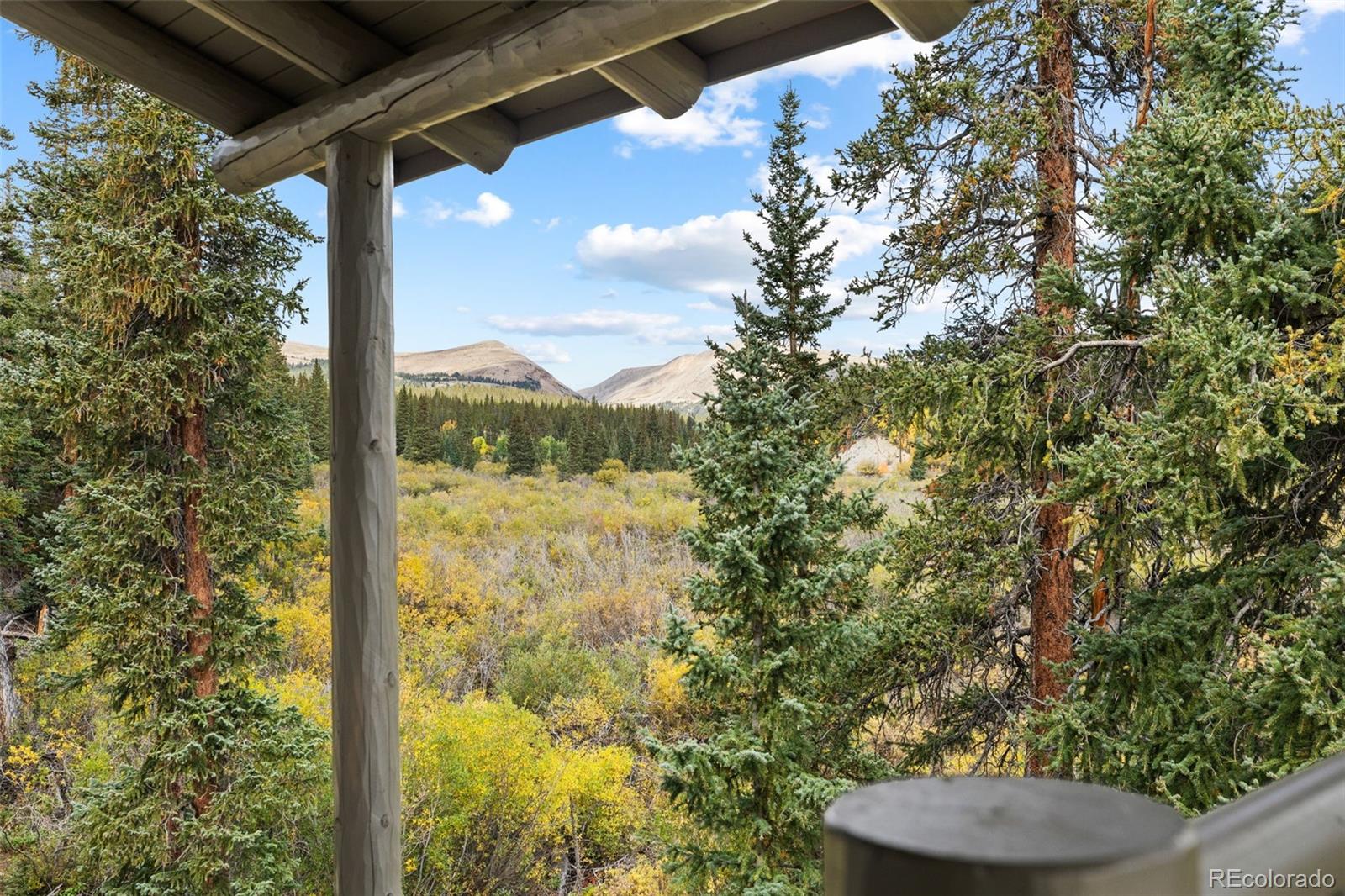 MLS Image #41 for 925  gold pan lane,fairplay, Colorado