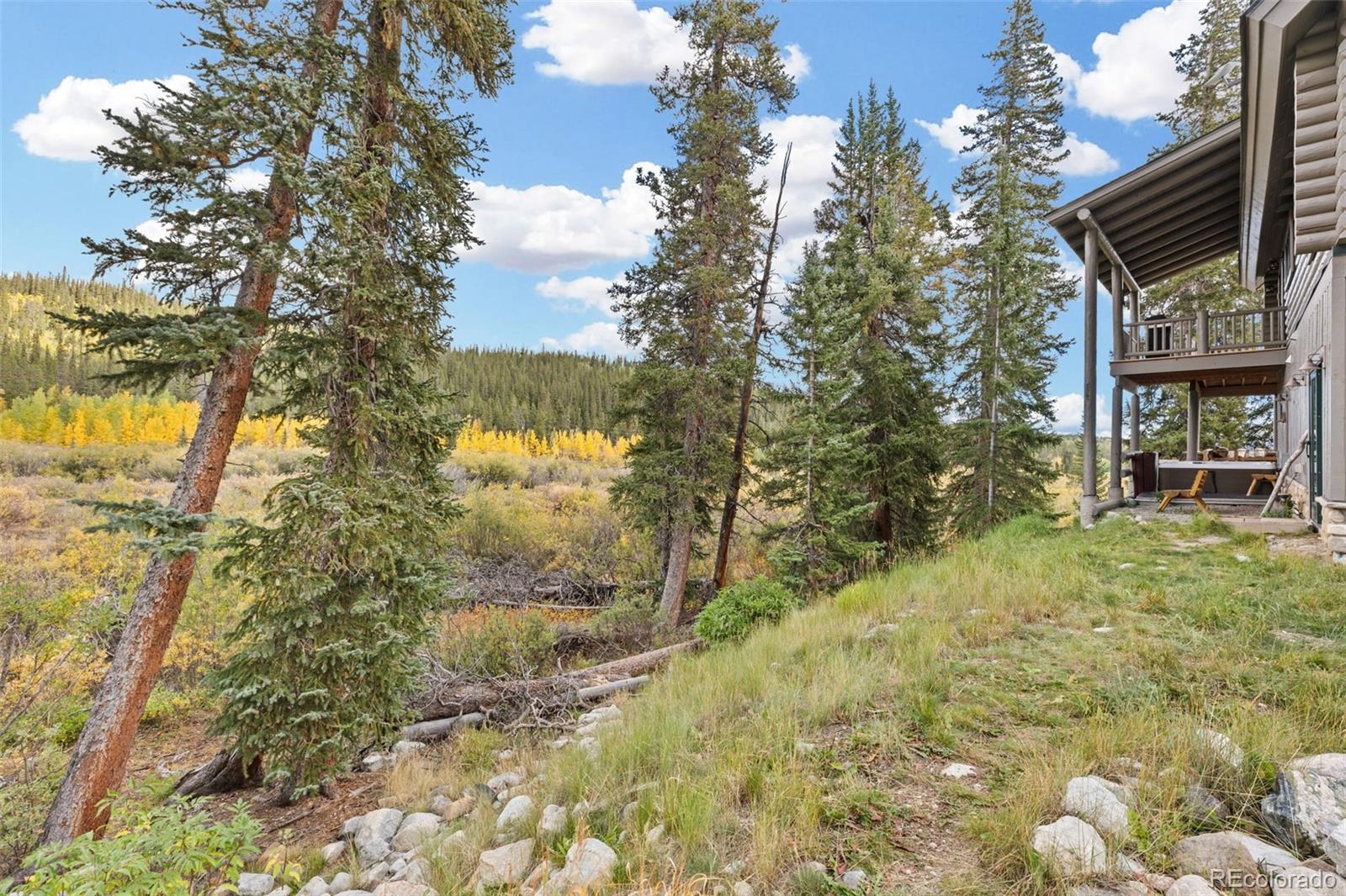MLS Image #42 for 925  gold pan lane,fairplay, Colorado