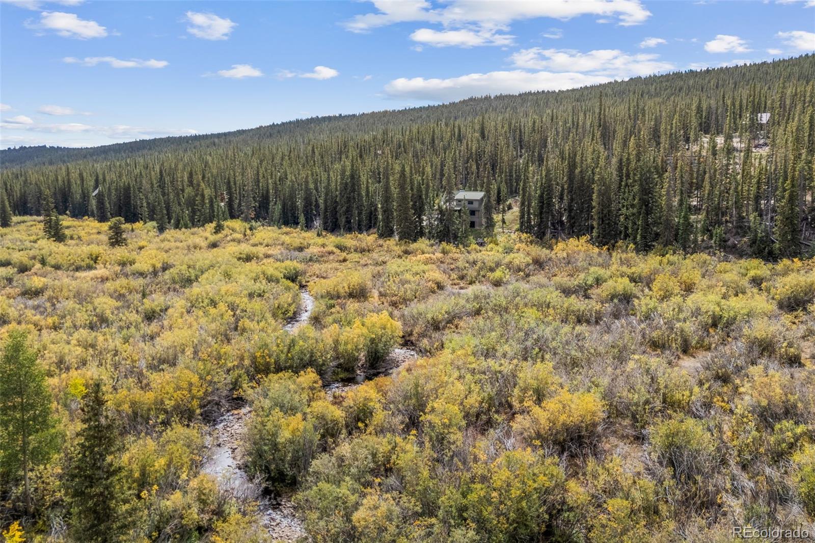 MLS Image #43 for 925  gold pan lane,fairplay, Colorado