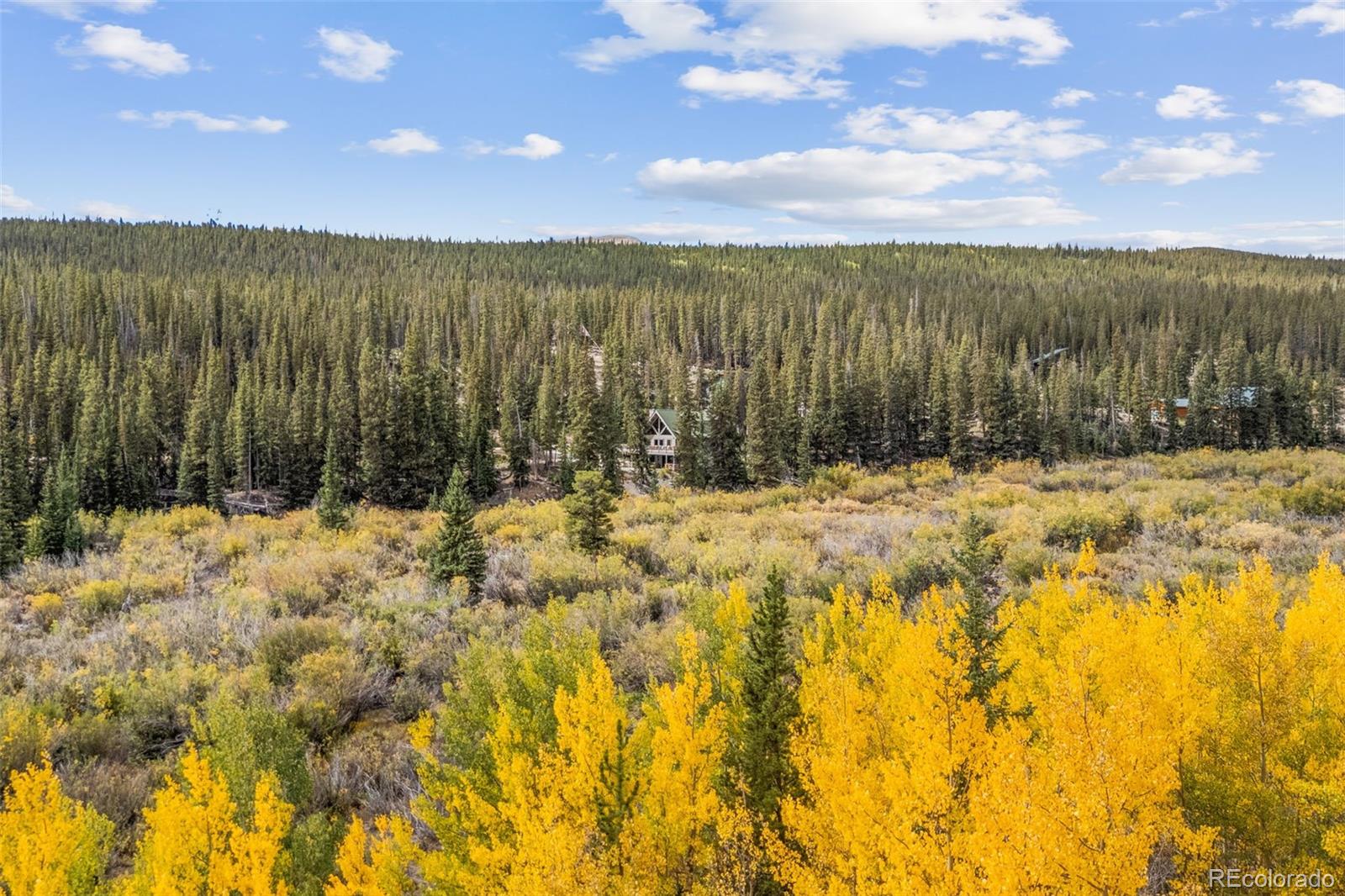 MLS Image #44 for 925  gold pan lane,fairplay, Colorado