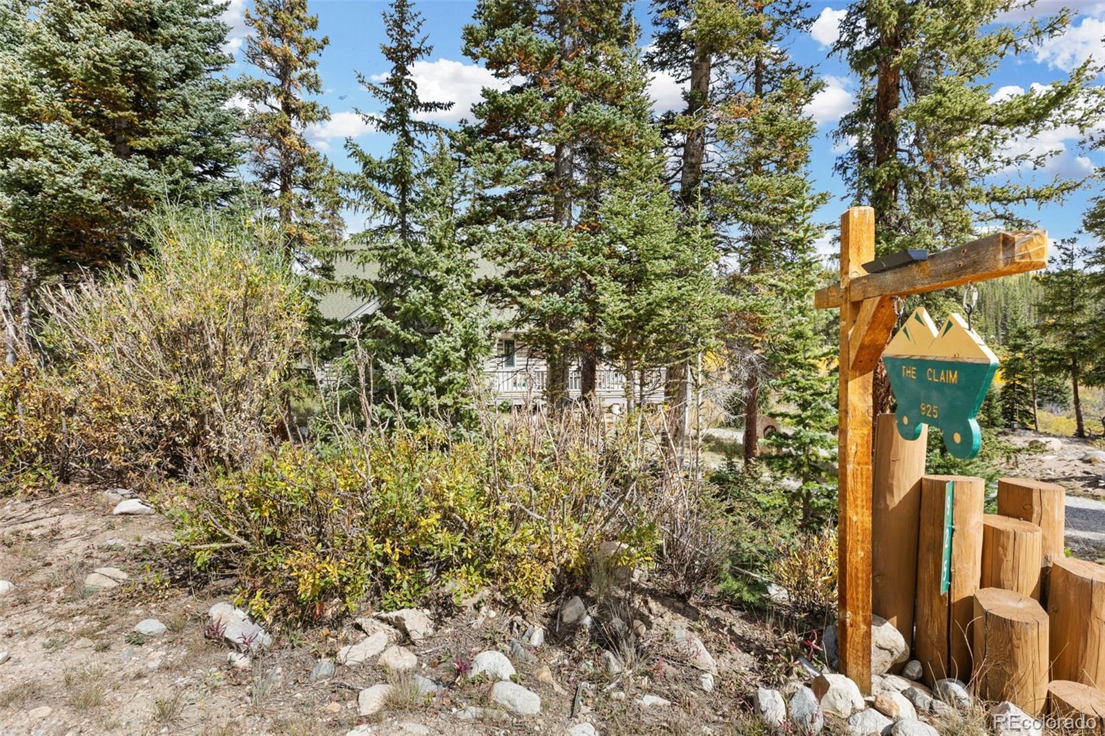 MLS Image #46 for 925  gold pan lane,fairplay, Colorado
