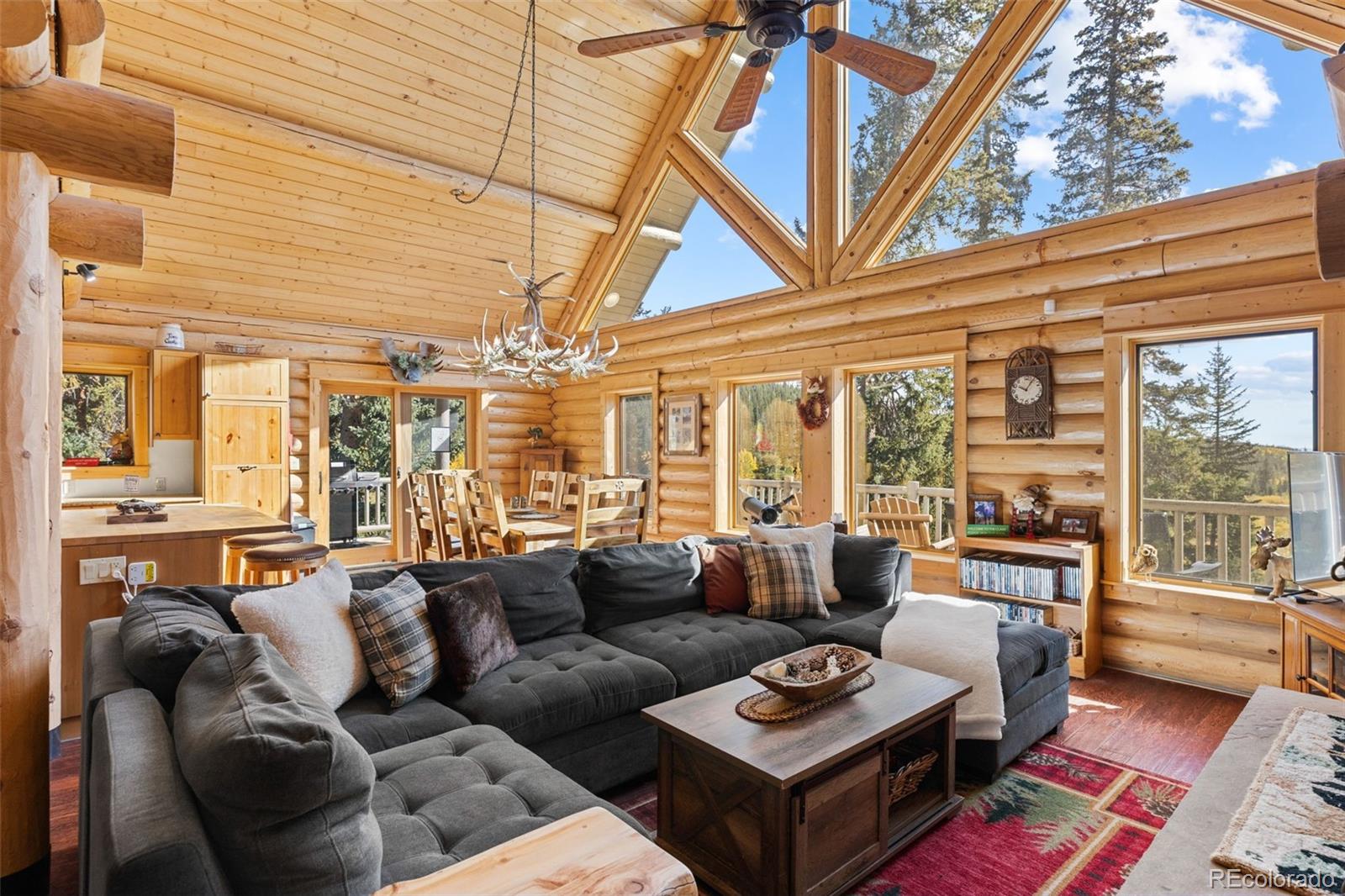 MLS Image #9 for 925  gold pan lane,fairplay, Colorado