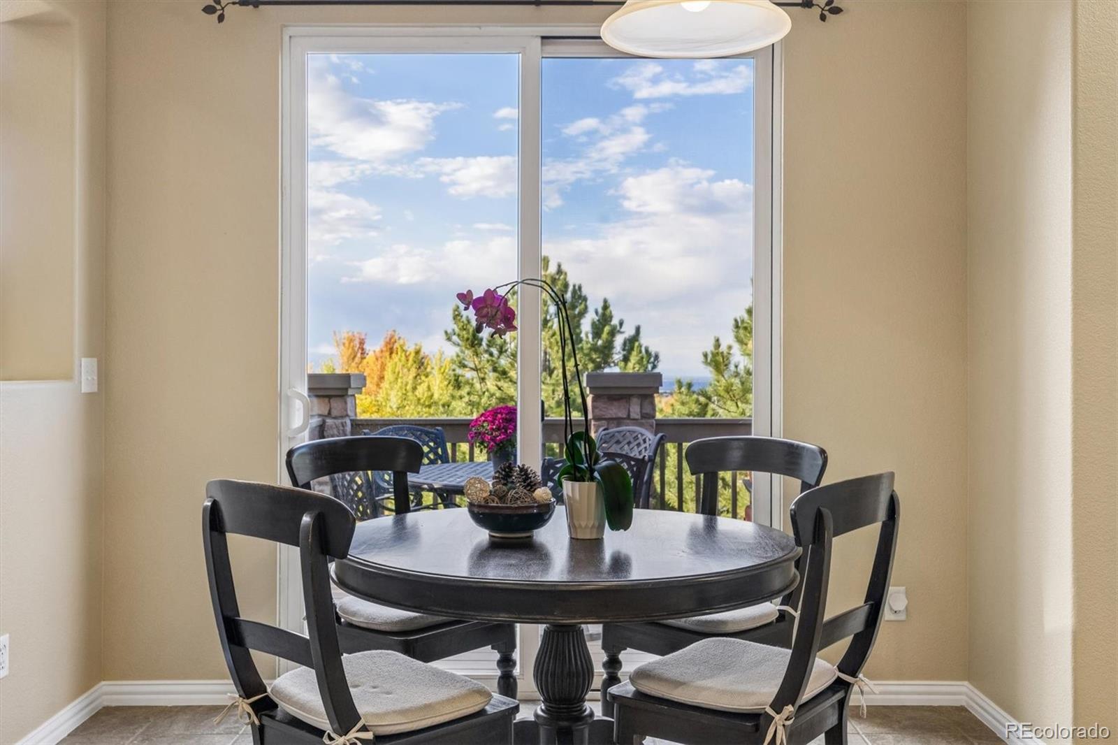 MLS Image #15 for 10833  fox sedge way,highlands ranch, Colorado