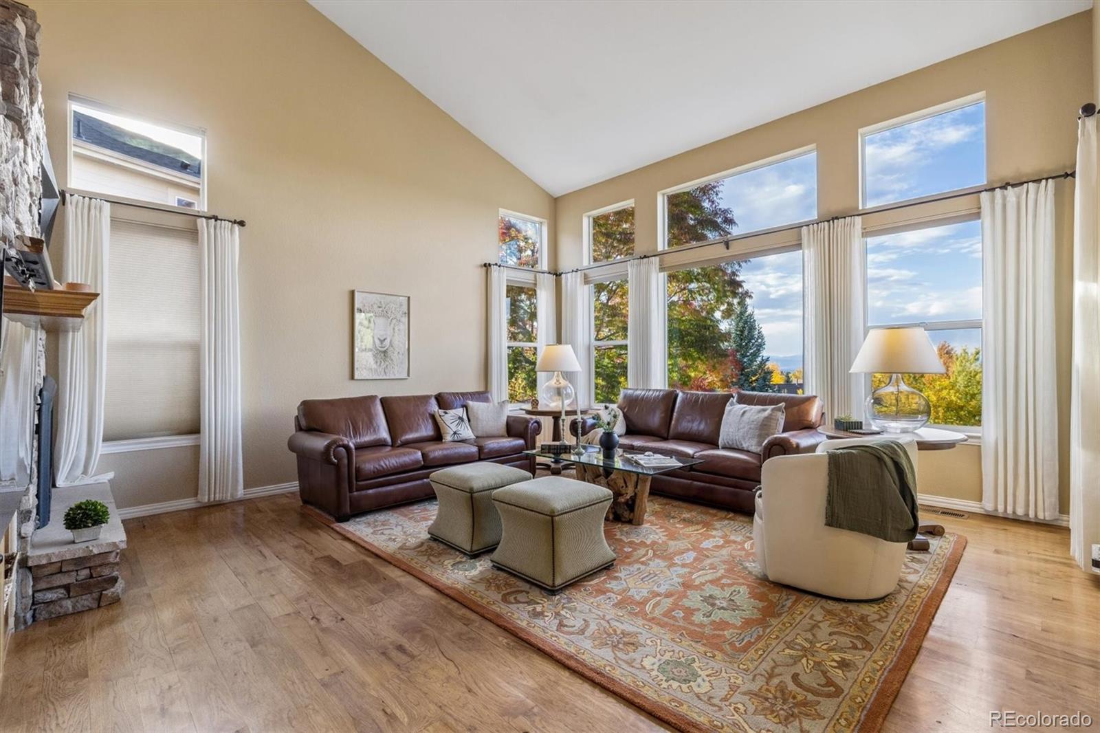 MLS Image #17 for 10833  fox sedge way,highlands ranch, Colorado