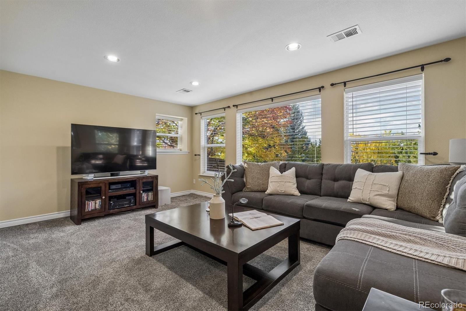 MLS Image #31 for 10833  fox sedge way,highlands ranch, Colorado