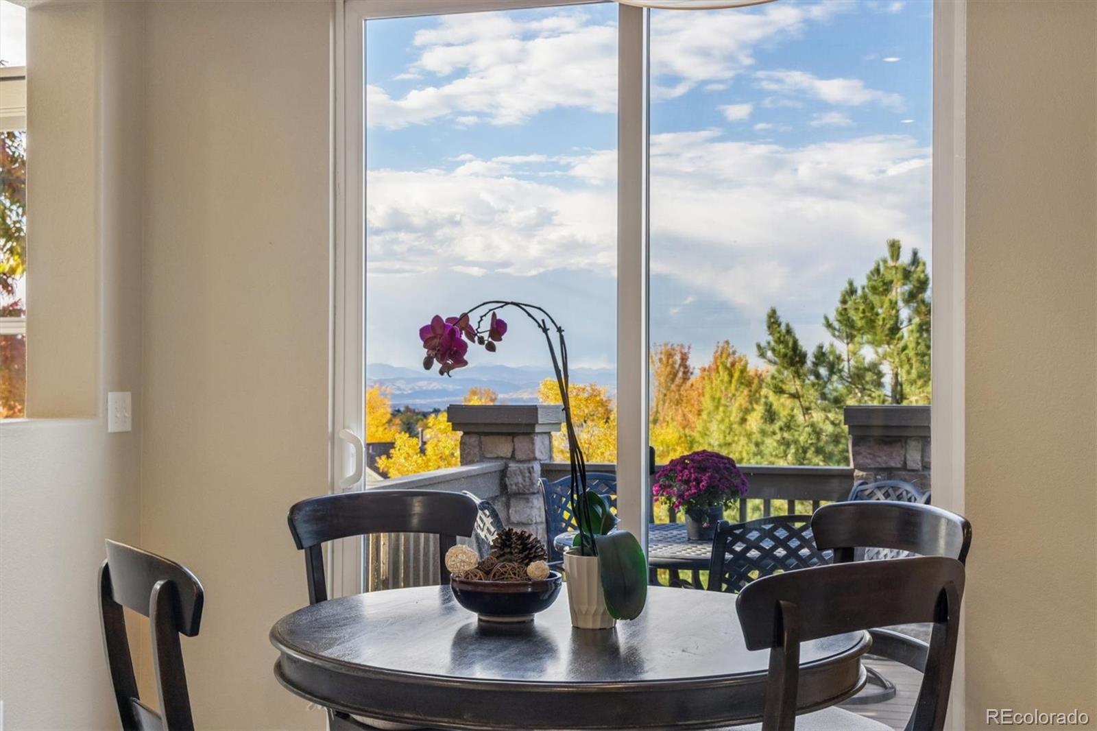 MLS Image #4 for 10833  fox sedge way,highlands ranch, Colorado