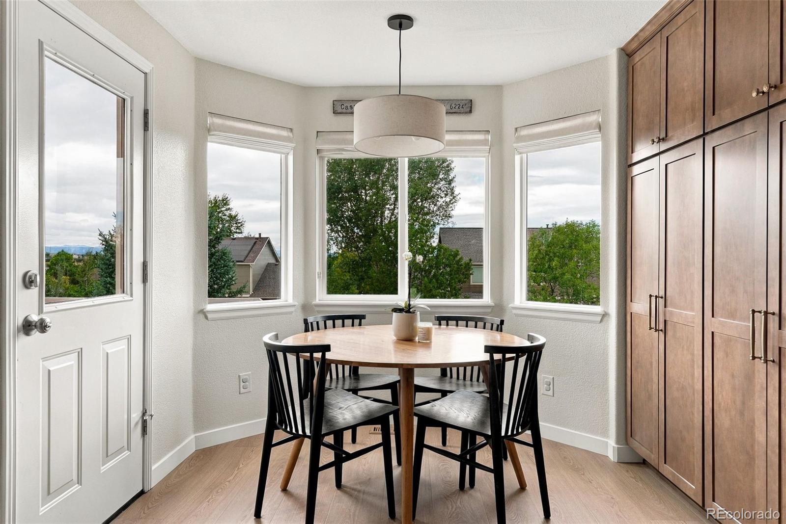 MLS Image #10 for 1081  kingsfield street,castle rock, Colorado