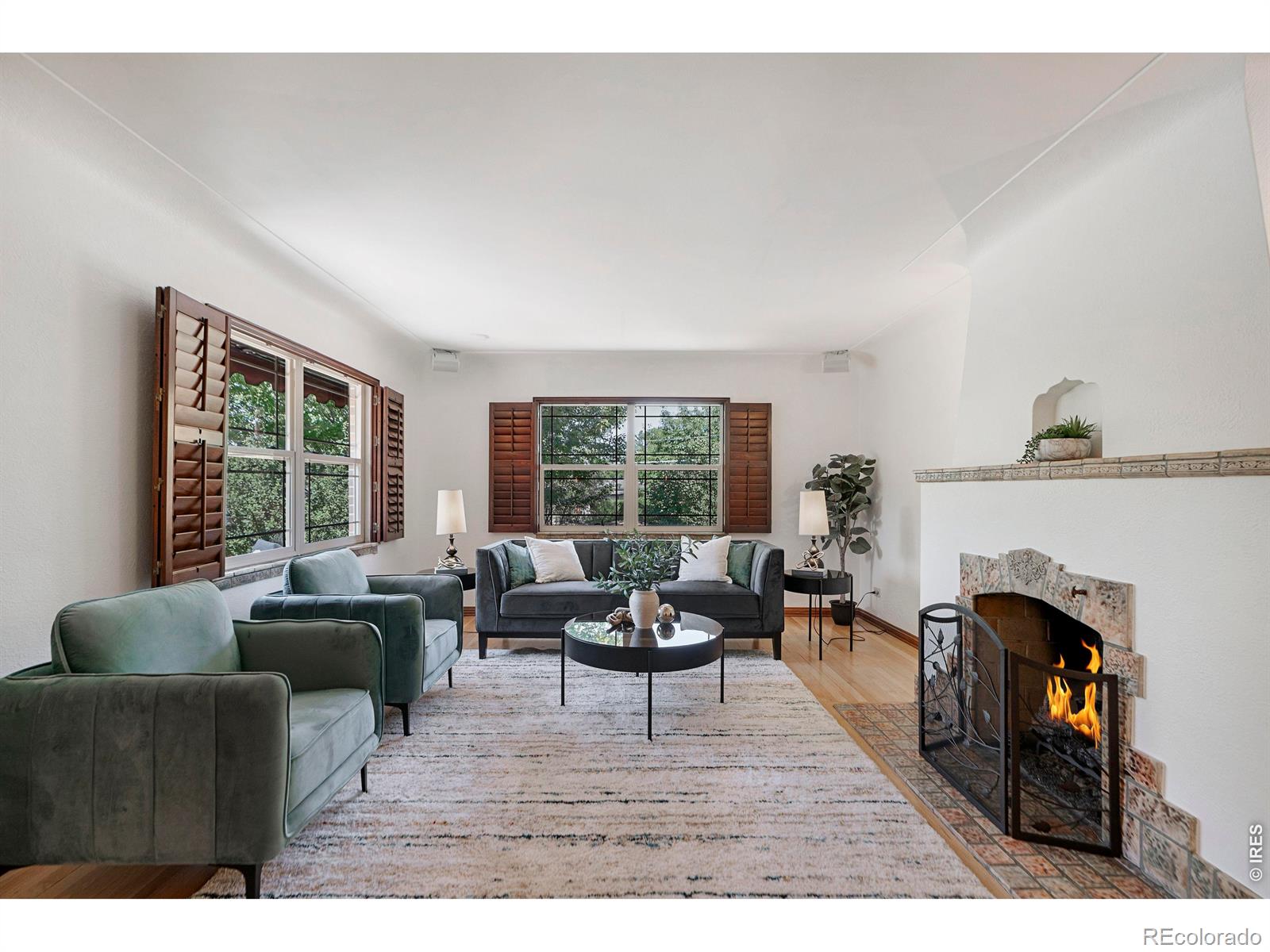 MLS Image #10 for 1090  bonnie brae boulevard,denver, Colorado