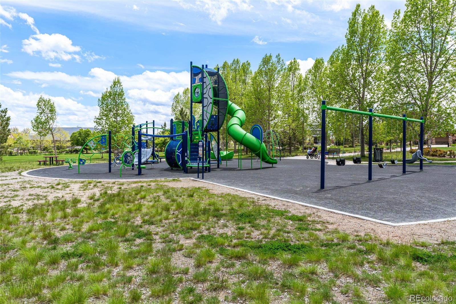 MLS Image #42 for 18076  french creek avenue,parker, Colorado