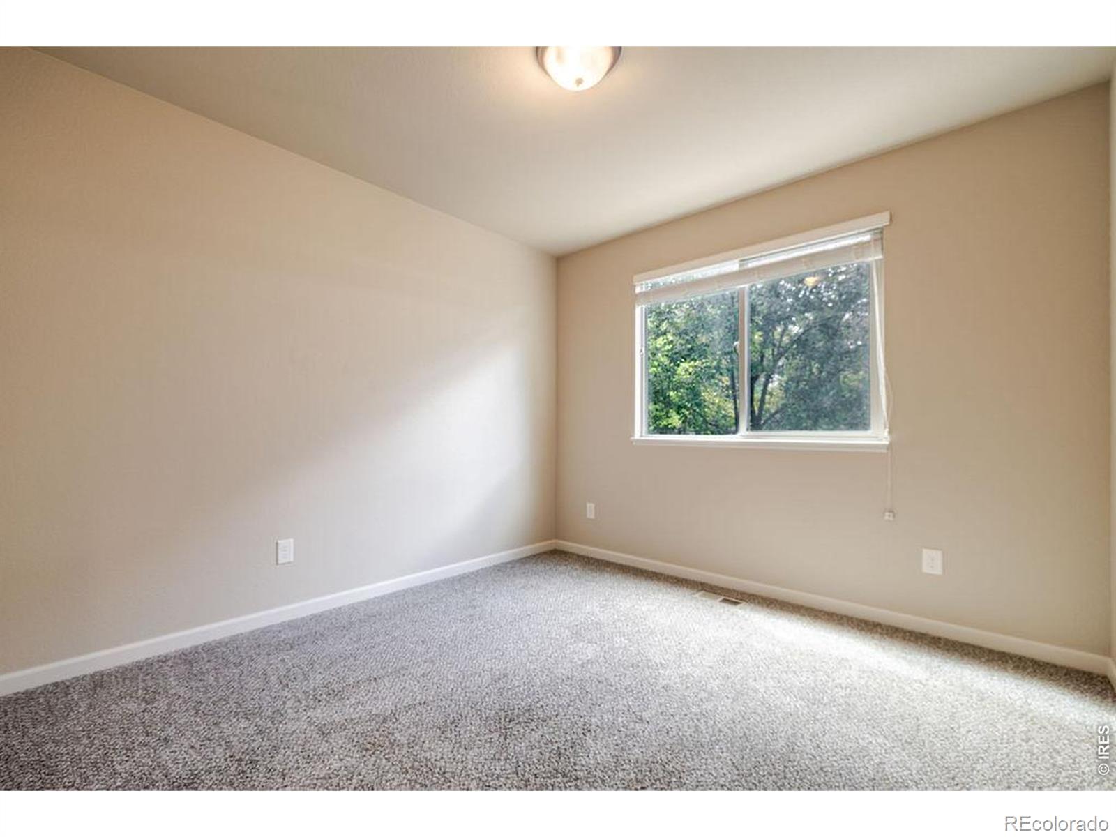 MLS Image #22 for 1760  clear creek court,windsor, Colorado