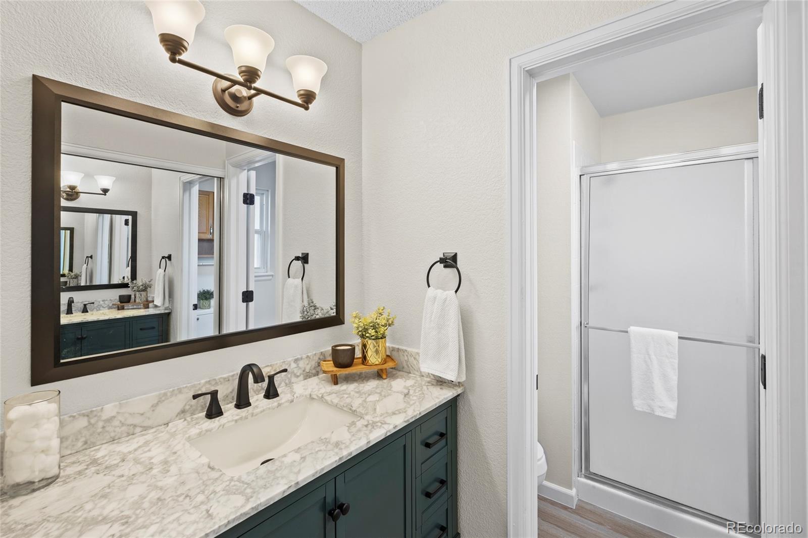 MLS Image #17 for 635  ridgeglen way,highlands ranch, Colorado