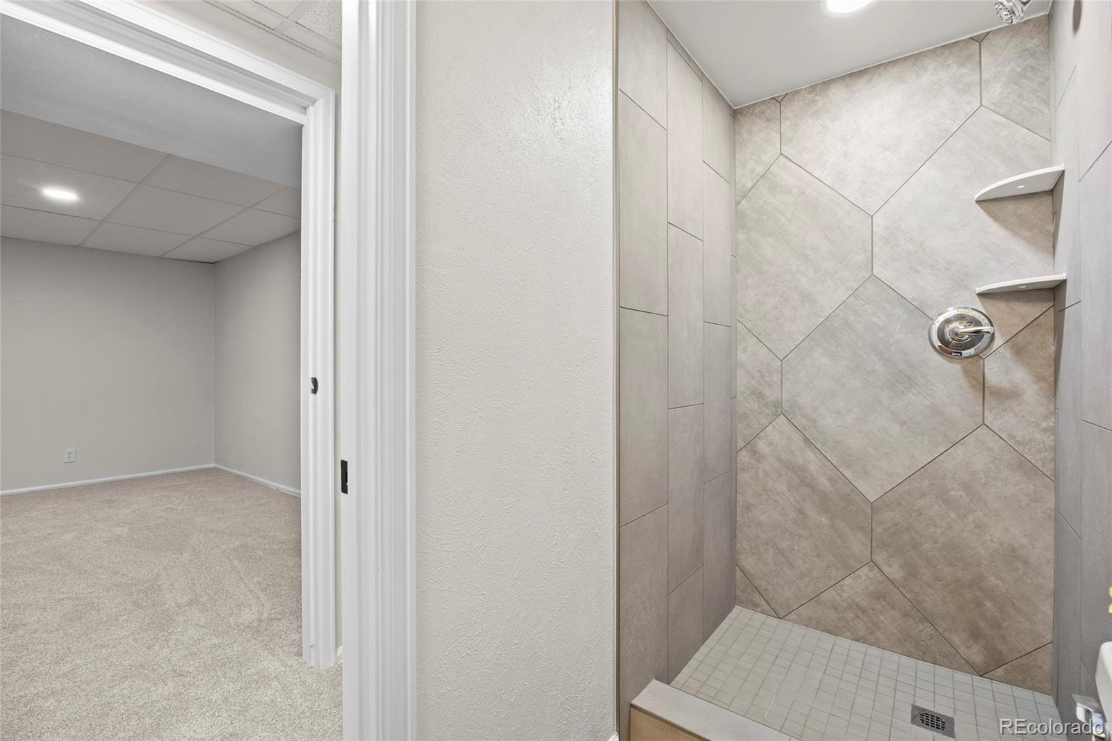 MLS Image #28 for 635  ridgeglen way,highlands ranch, Colorado
