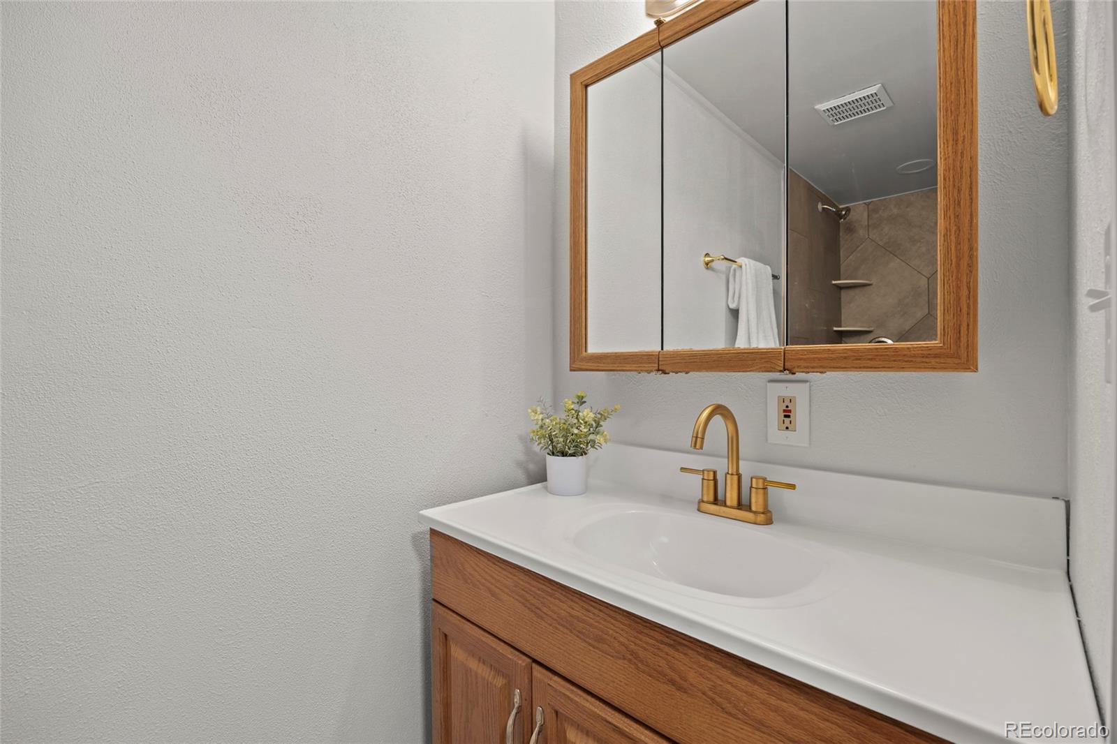 MLS Image #29 for 635  ridgeglen way,highlands ranch, Colorado
