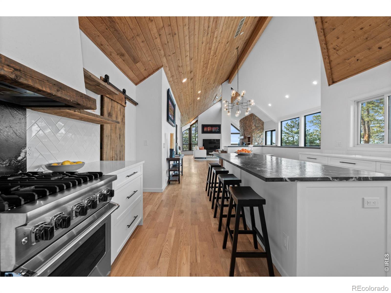 MLS Image #10 for 5396  bear mountain drive,evergreen, Colorado