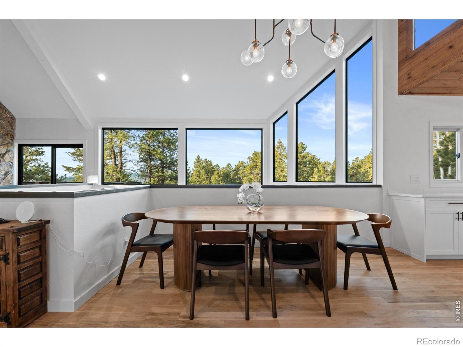 MLS Image #11 for 5396  bear mountain drive,evergreen, Colorado