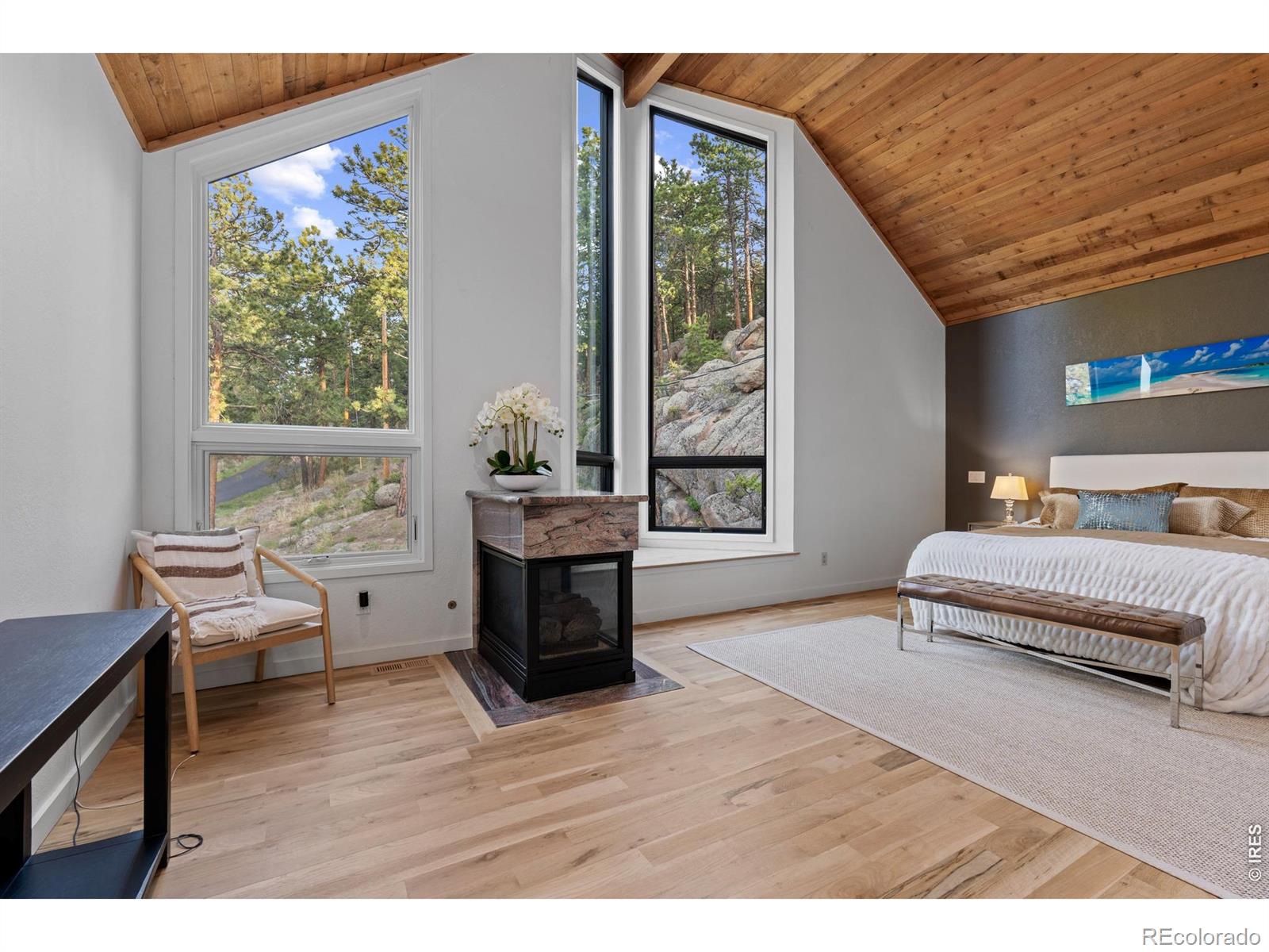 MLS Image #12 for 5396  bear mountain drive,evergreen, Colorado