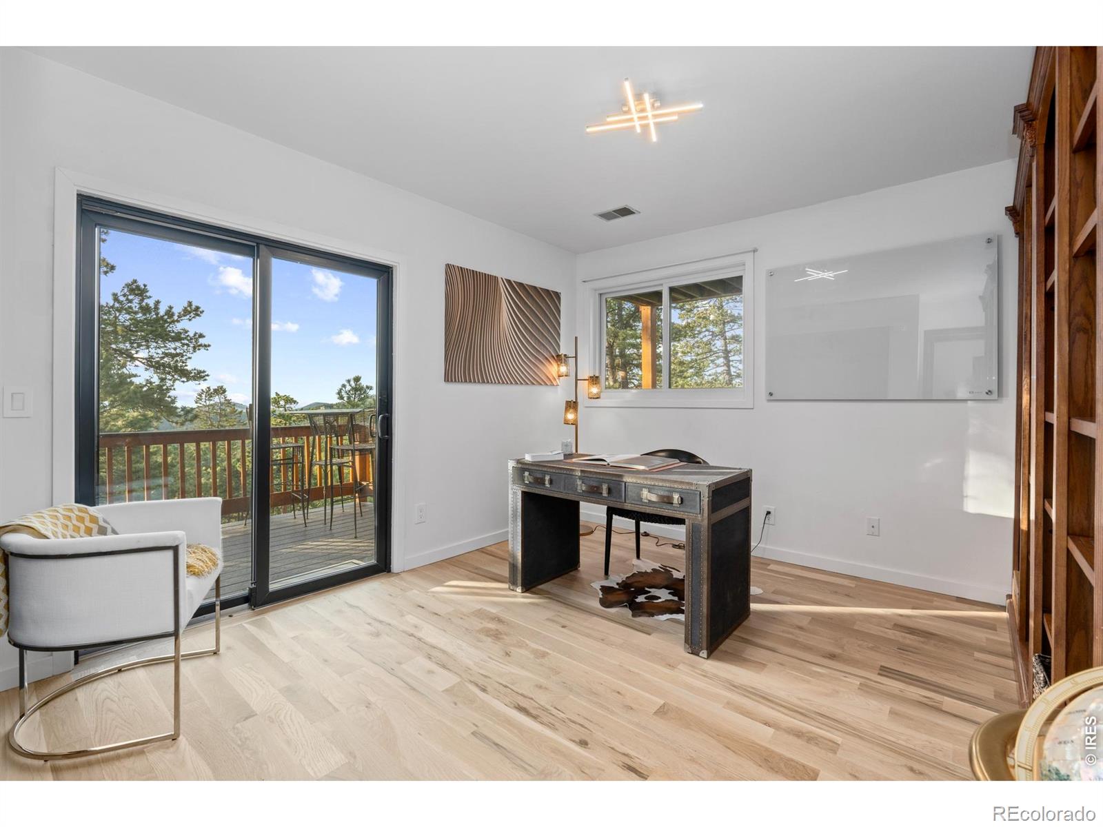 MLS Image #21 for 5396  bear mountain drive,evergreen, Colorado
