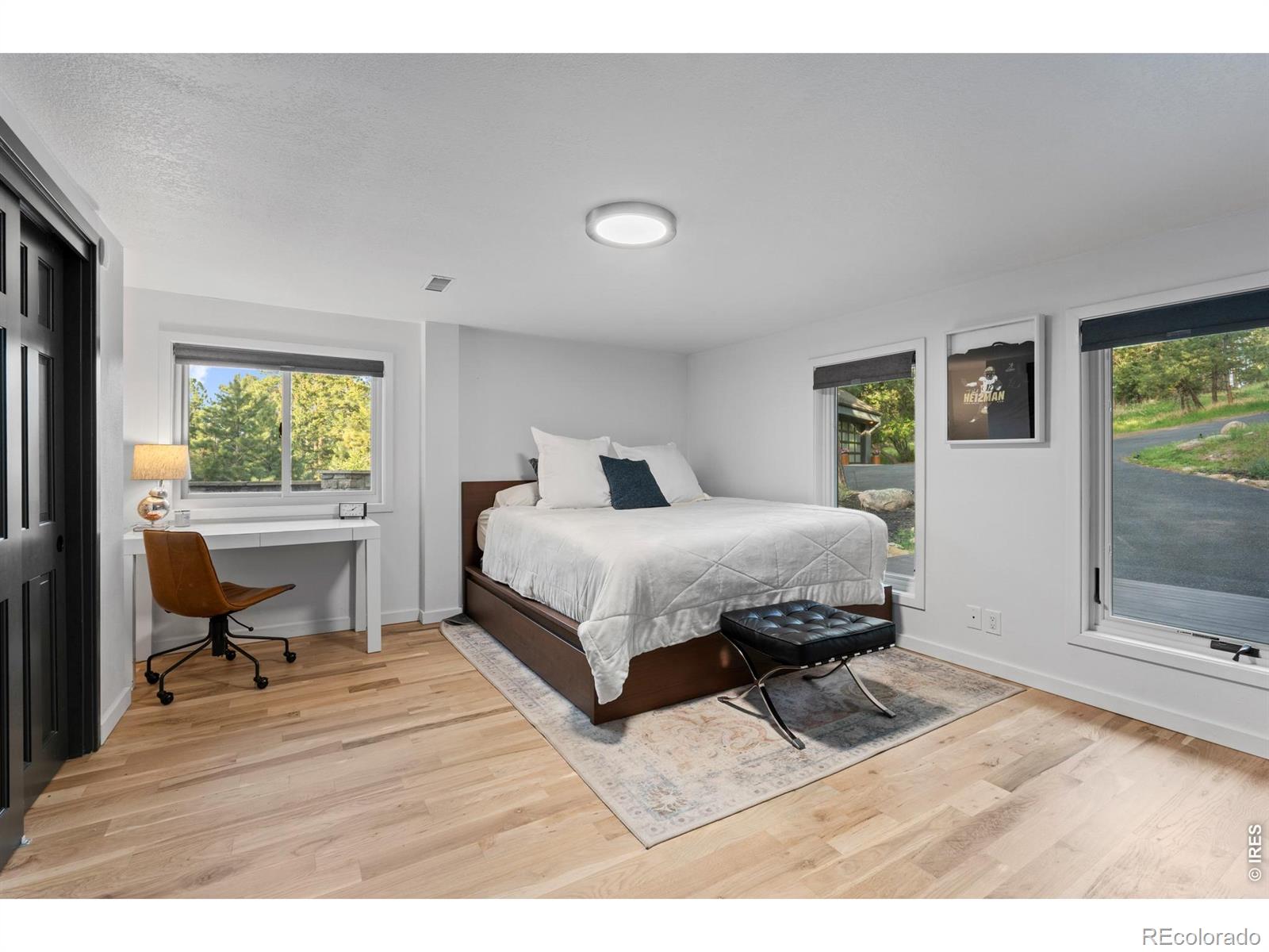 MLS Image #24 for 5396  bear mountain drive,evergreen, Colorado
