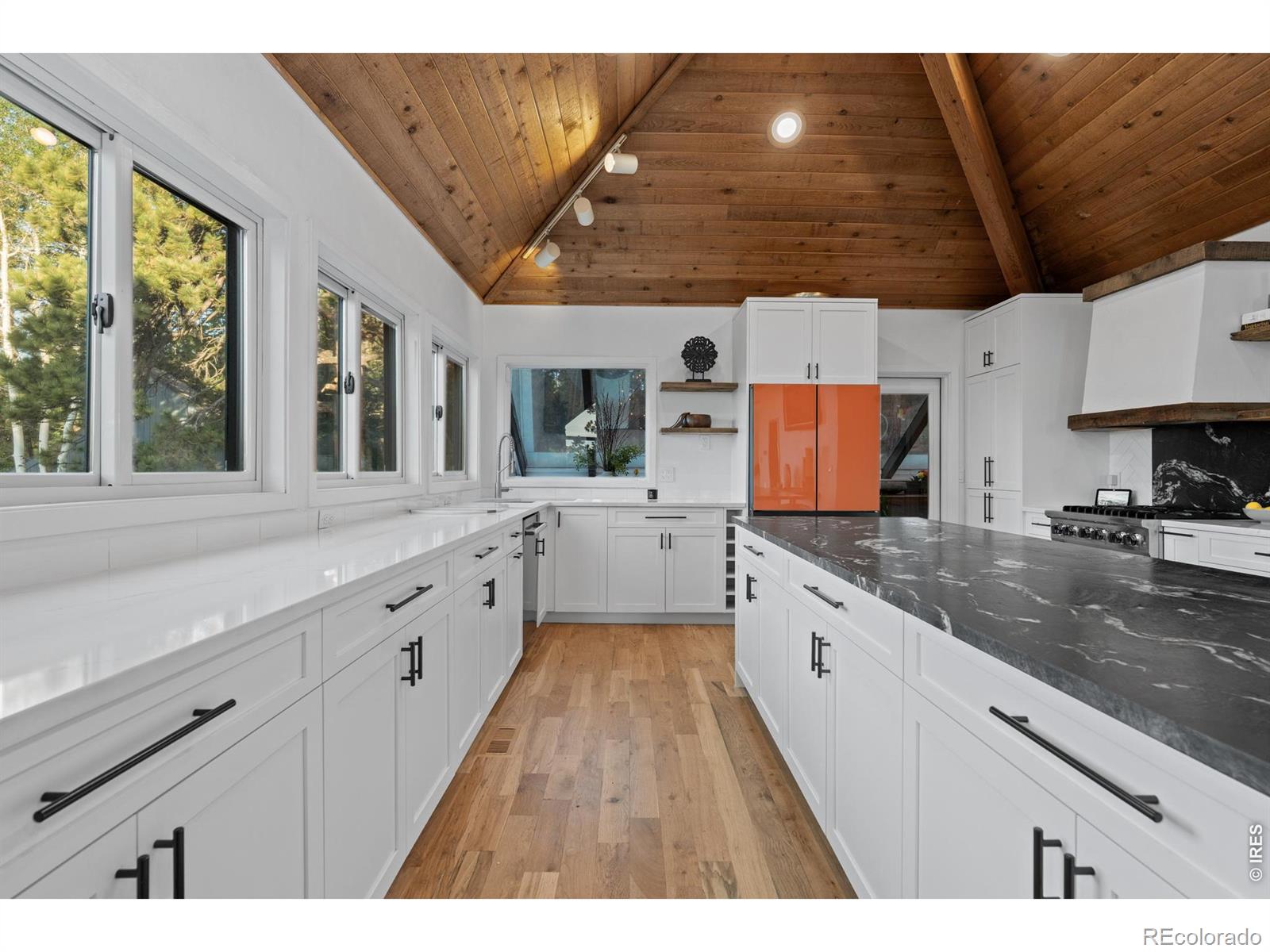 MLS Image #9 for 5396  bear mountain drive,evergreen, Colorado