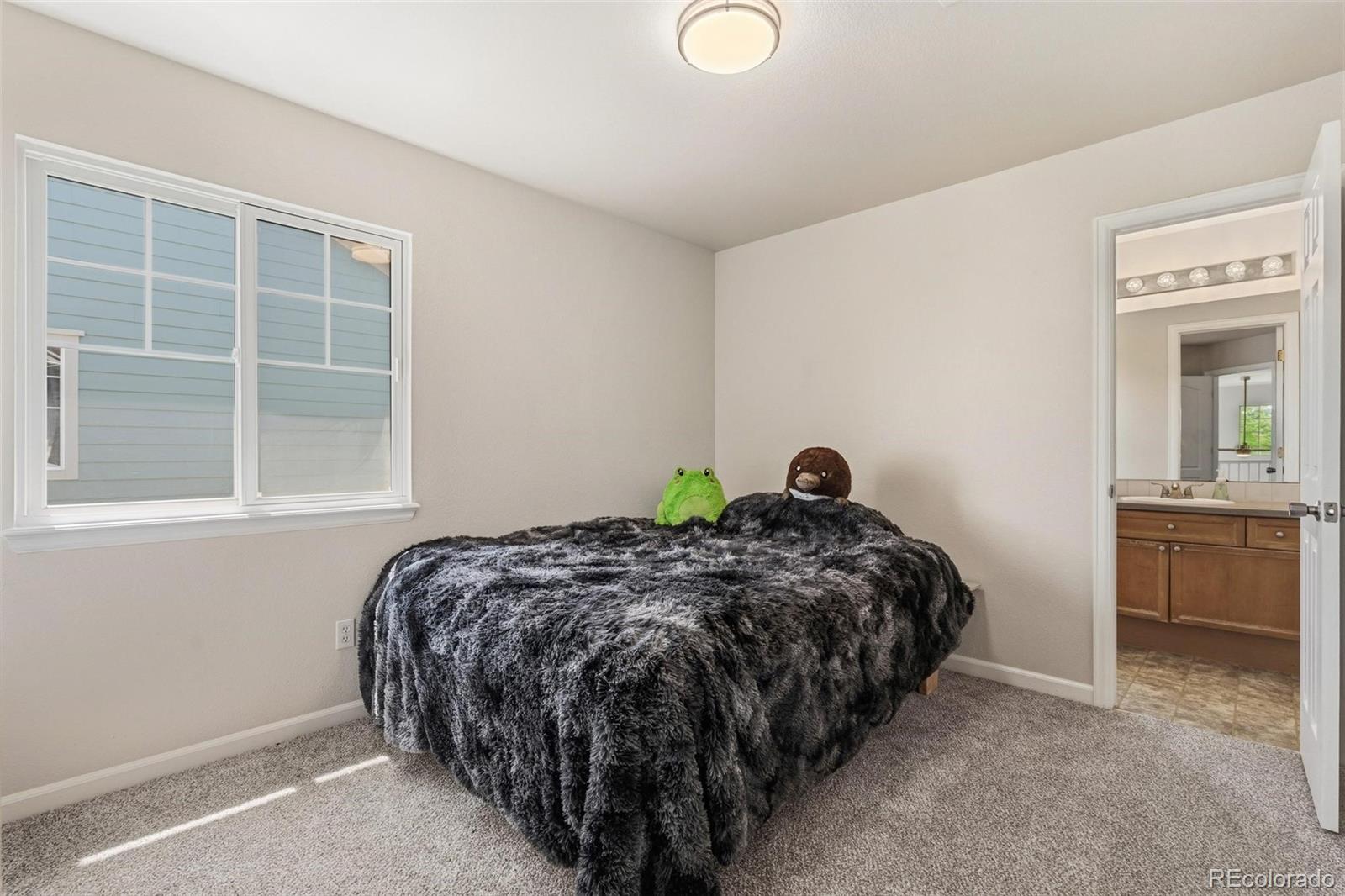 MLS Image #20 for 5243  mount arapaho circle,longmont, Colorado
