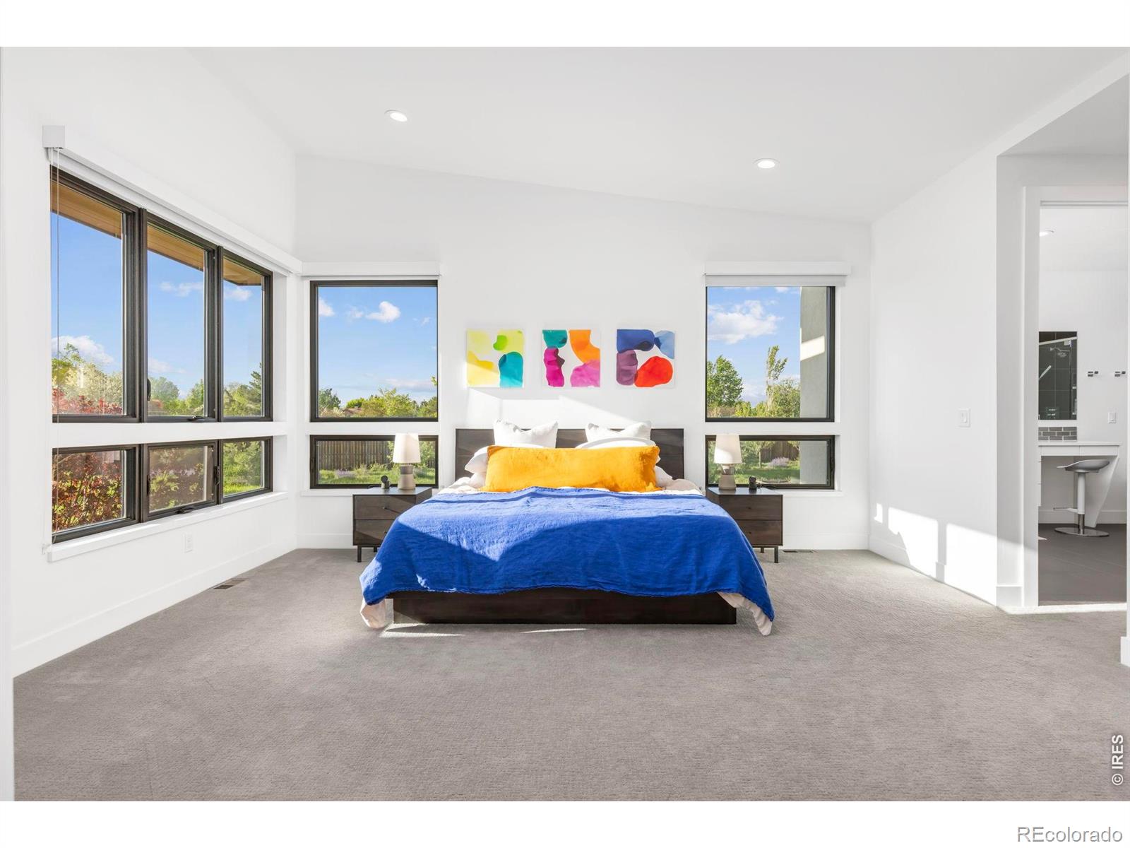 MLS Image #13 for 8675  summerlin place,longmont, Colorado