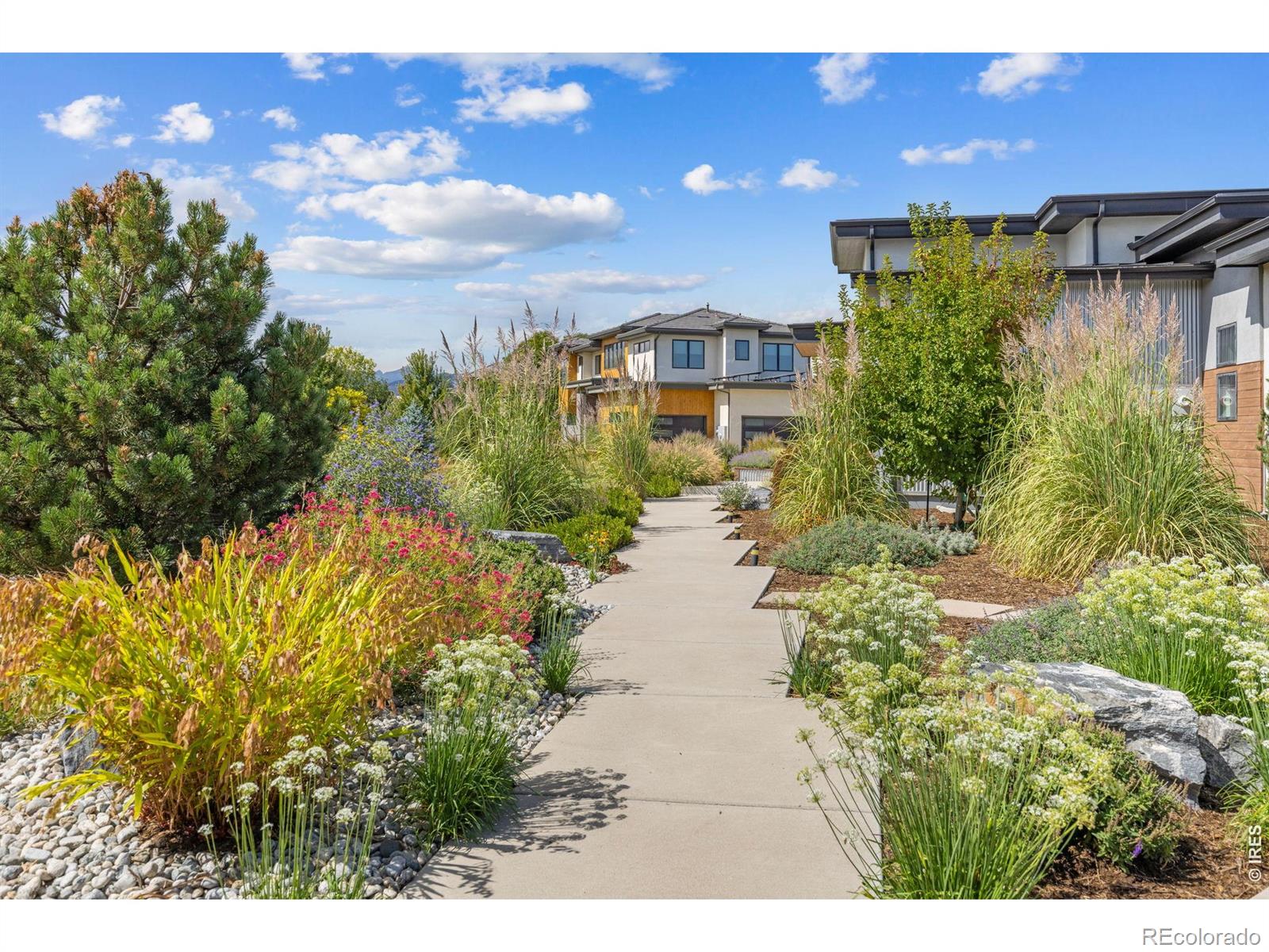 MLS Image #3 for 8675  summerlin place,longmont, Colorado