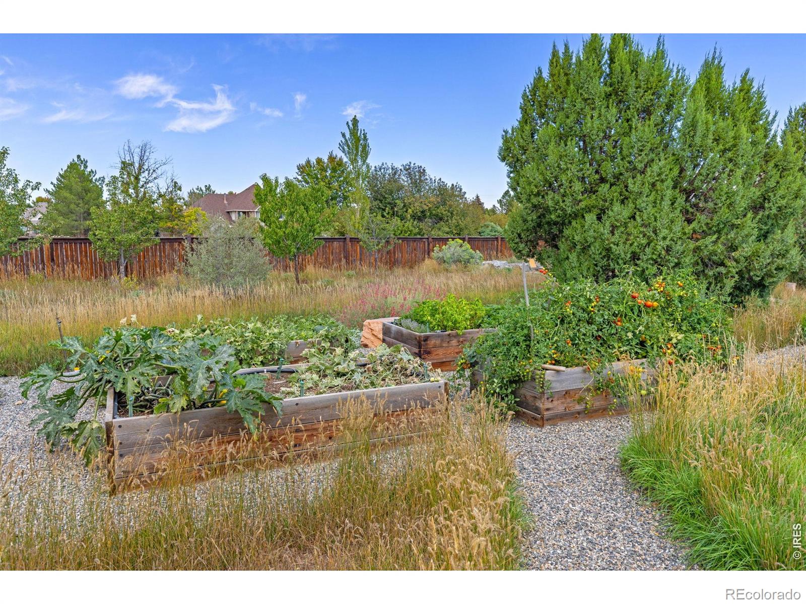 MLS Image #32 for 8675  summerlin place,longmont, Colorado