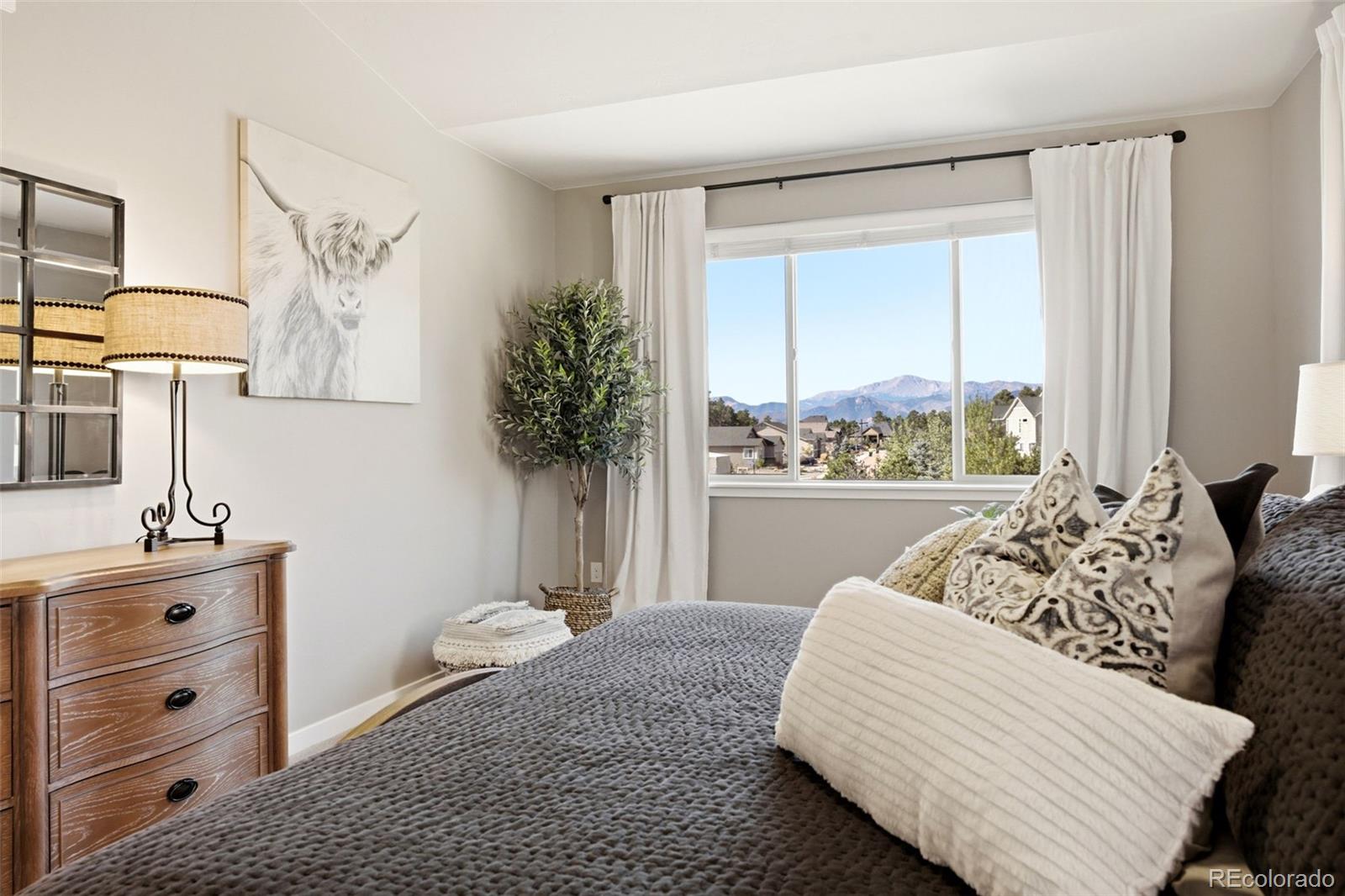 MLS Image #17 for 1386  catnap lane,monument, Colorado