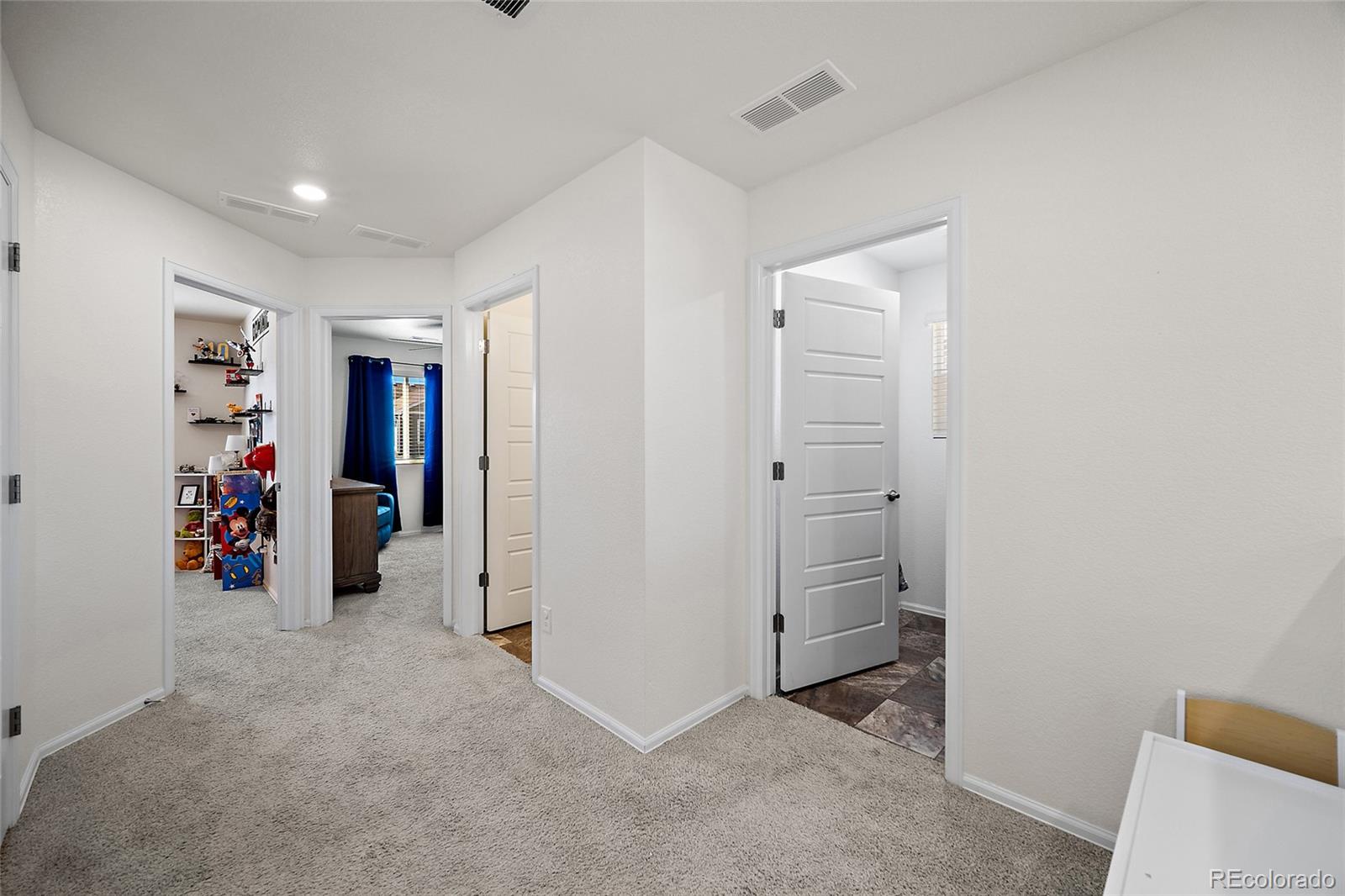 MLS Image #10 for 11772  cord grass way,parker, Colorado