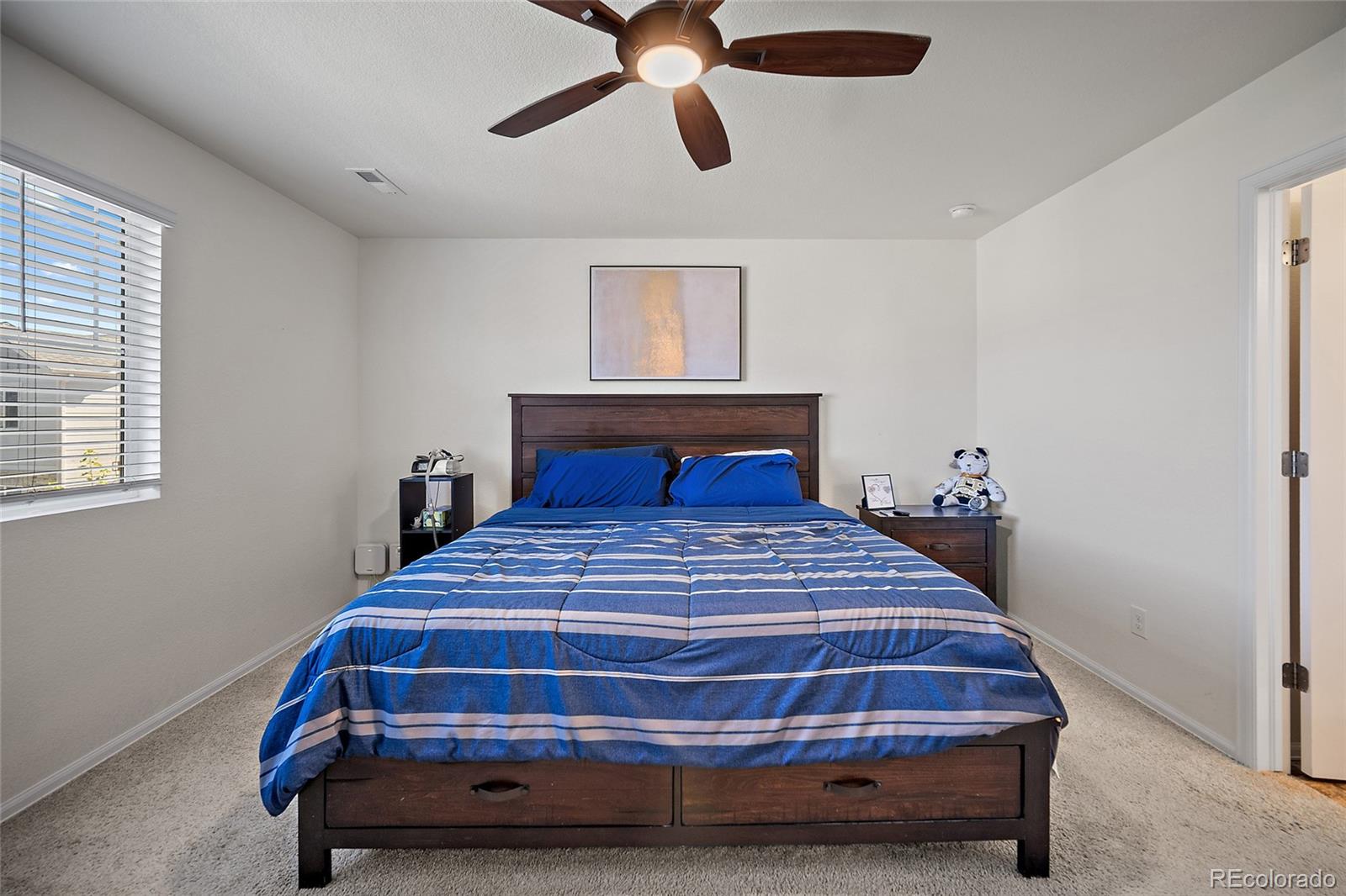 MLS Image #11 for 11772  cord grass way,parker, Colorado