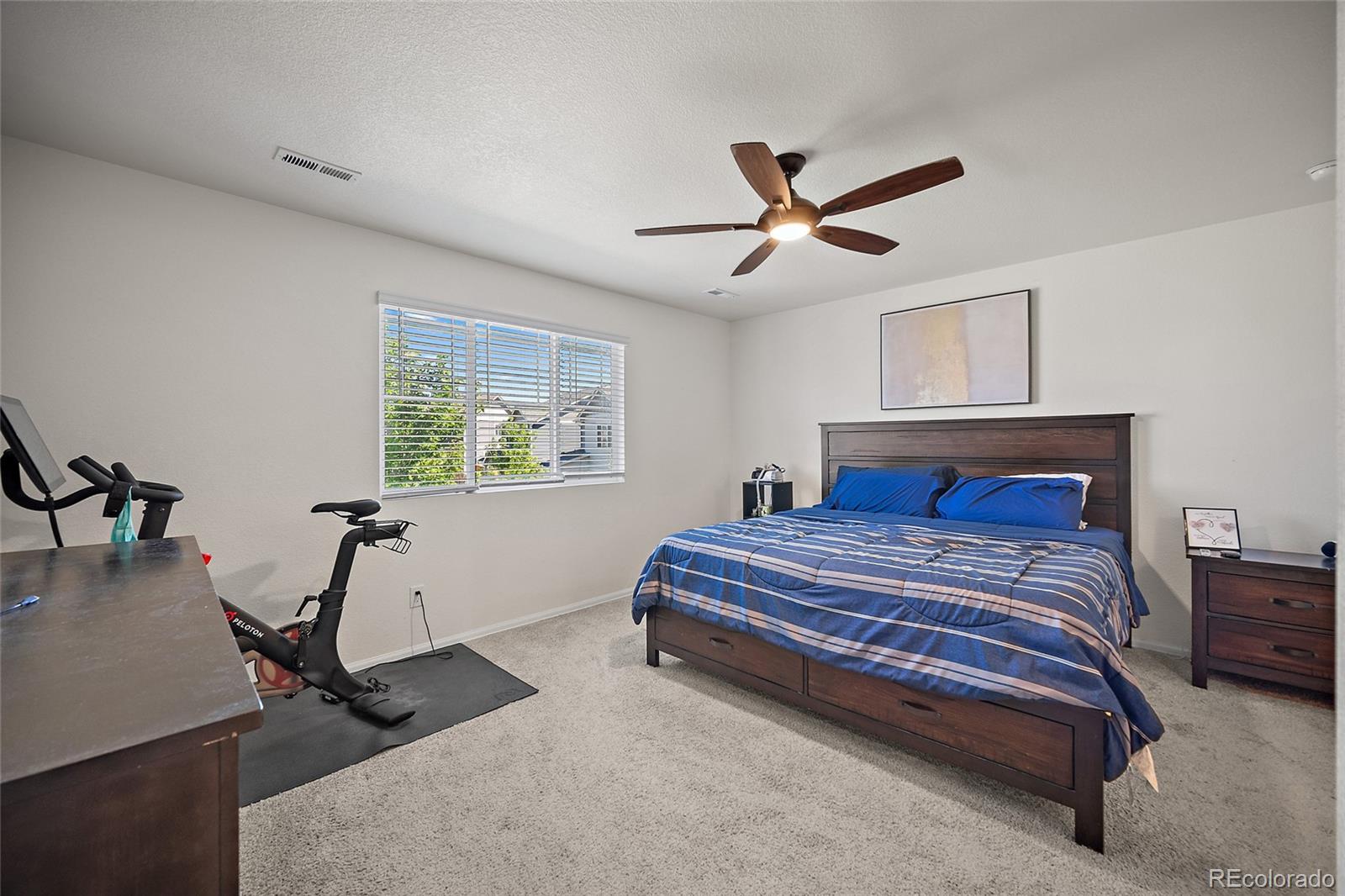 MLS Image #12 for 11772  cord grass way,parker, Colorado