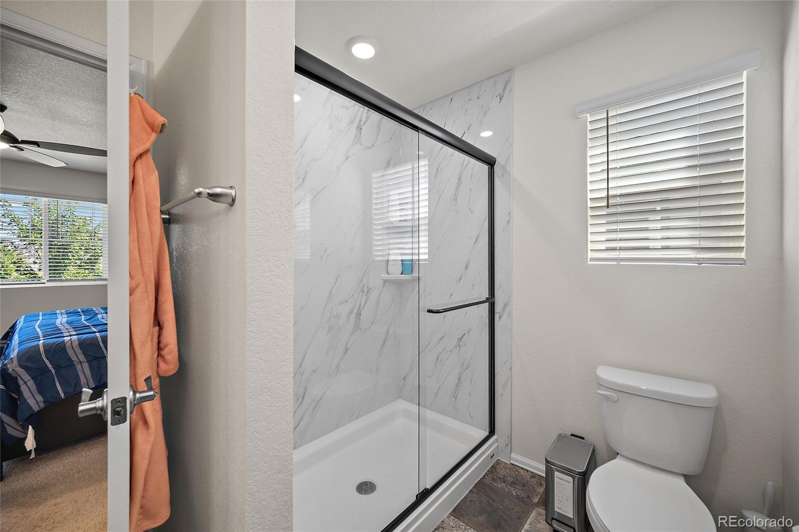 MLS Image #14 for 11772  cord grass way,parker, Colorado