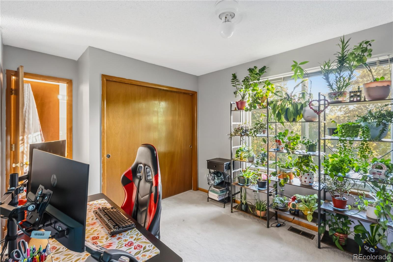 MLS Image #13 for 4316  liverpool street,denver, Colorado