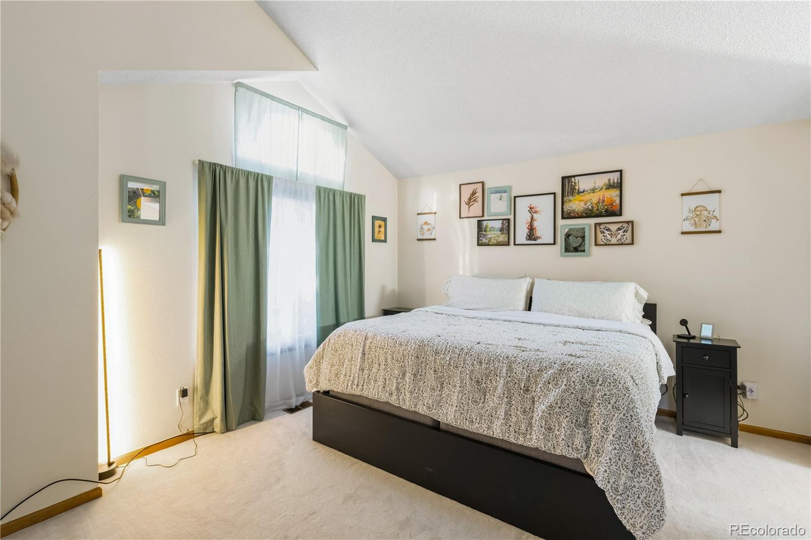 MLS Image #18 for 4316  liverpool street,denver, Colorado